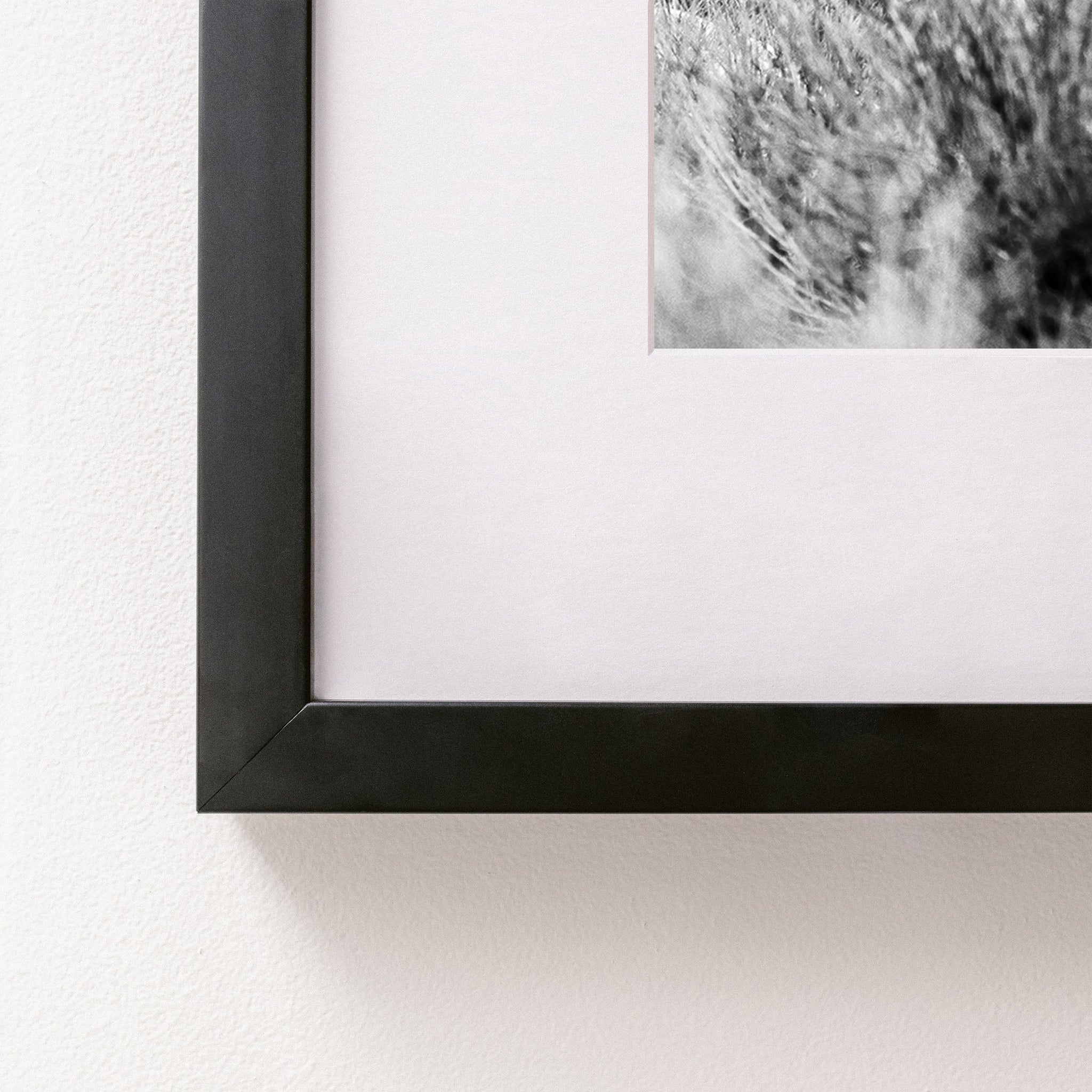 black~Medium