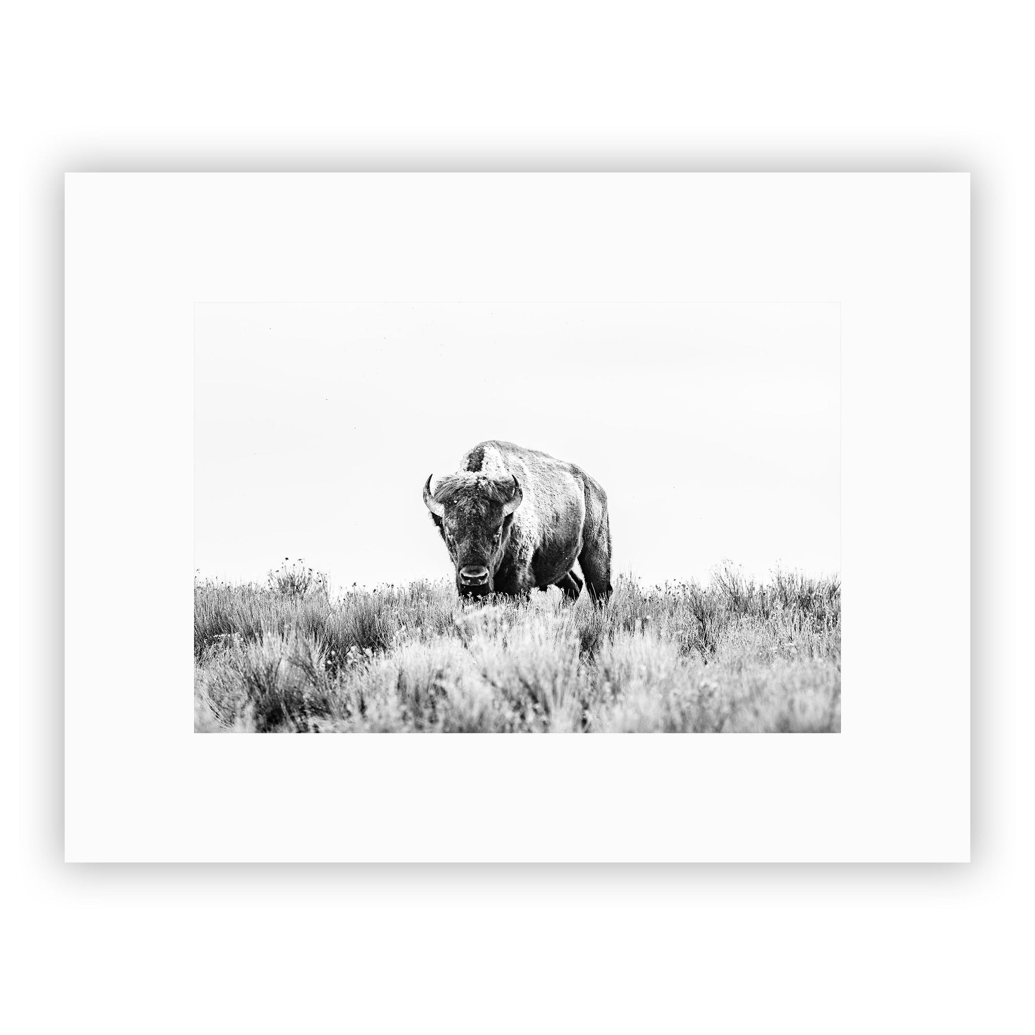 no frame~Medium