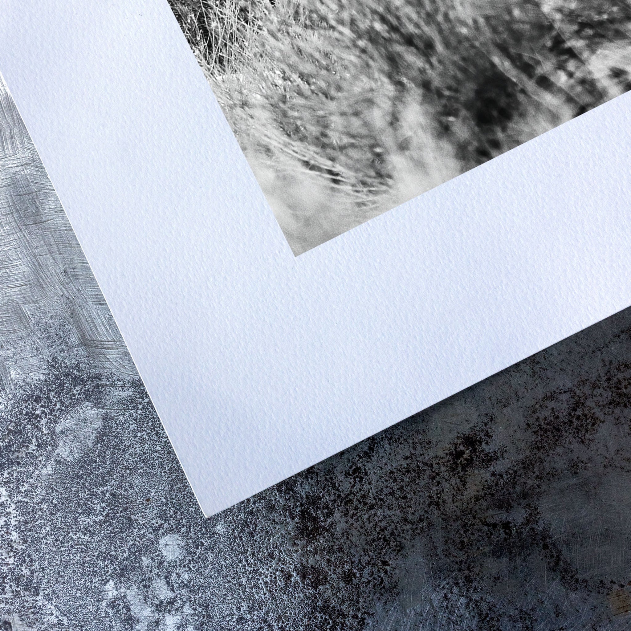 no frame~Medium
