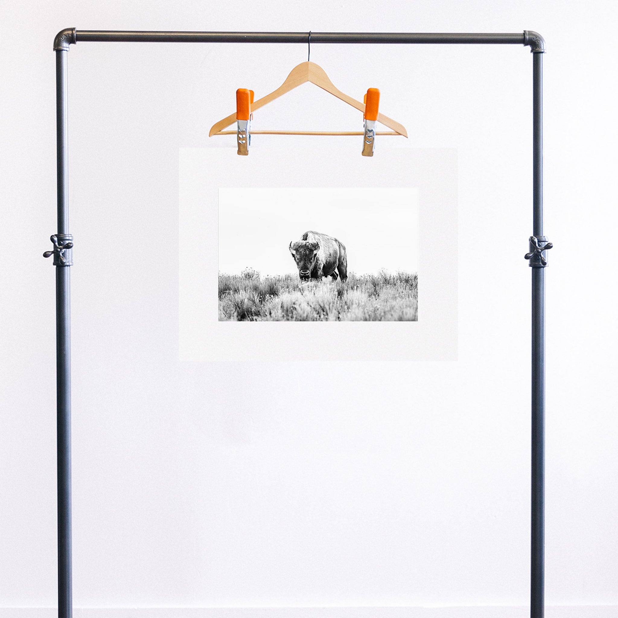 no frame~Medium