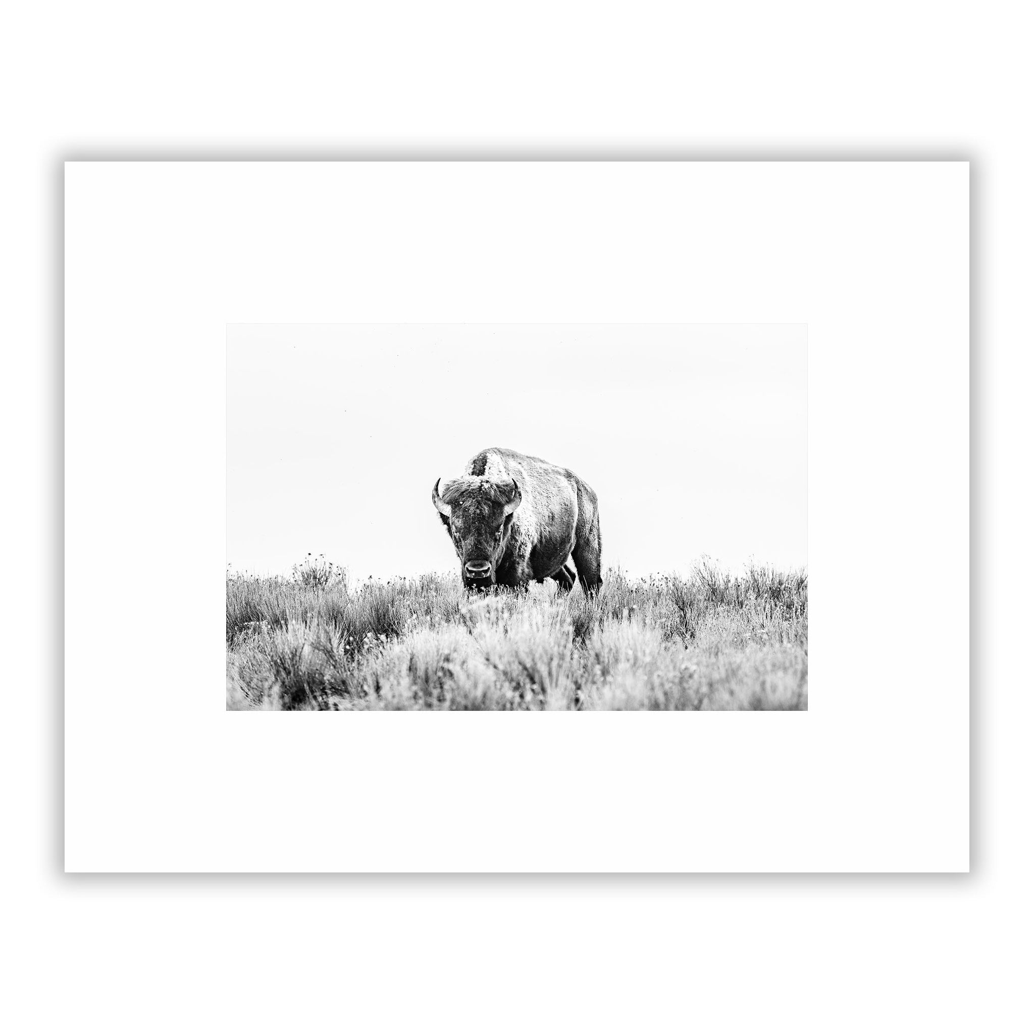 no frame~Small
