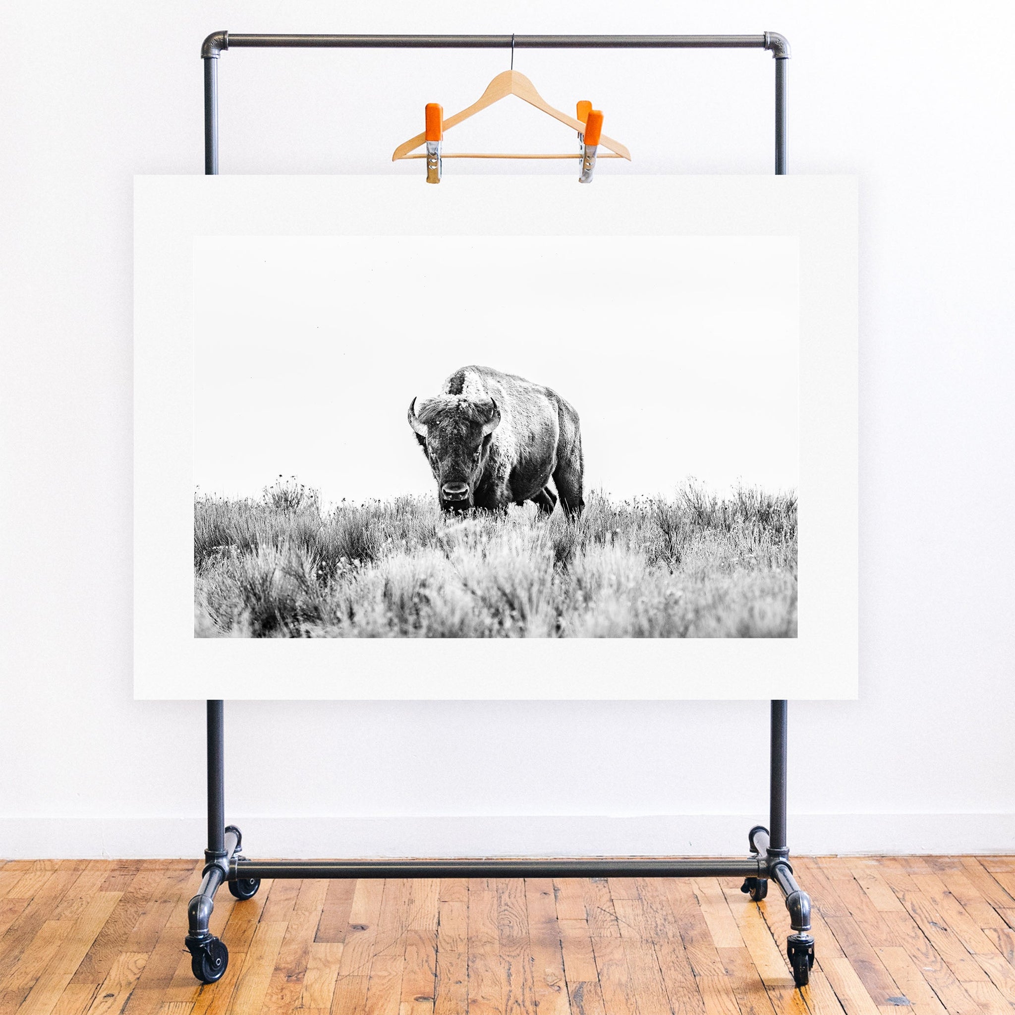 no frame~Executive