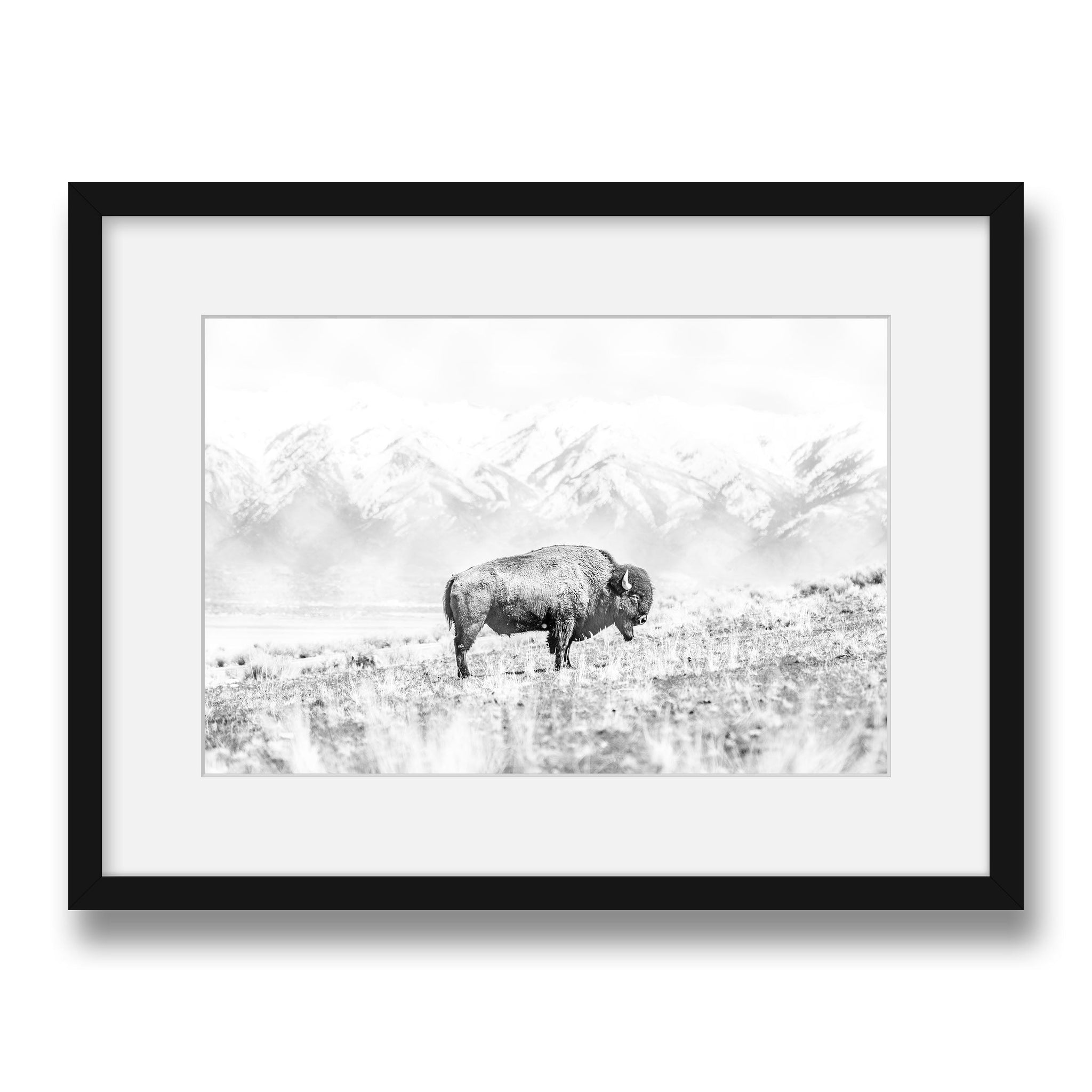 black~Medium