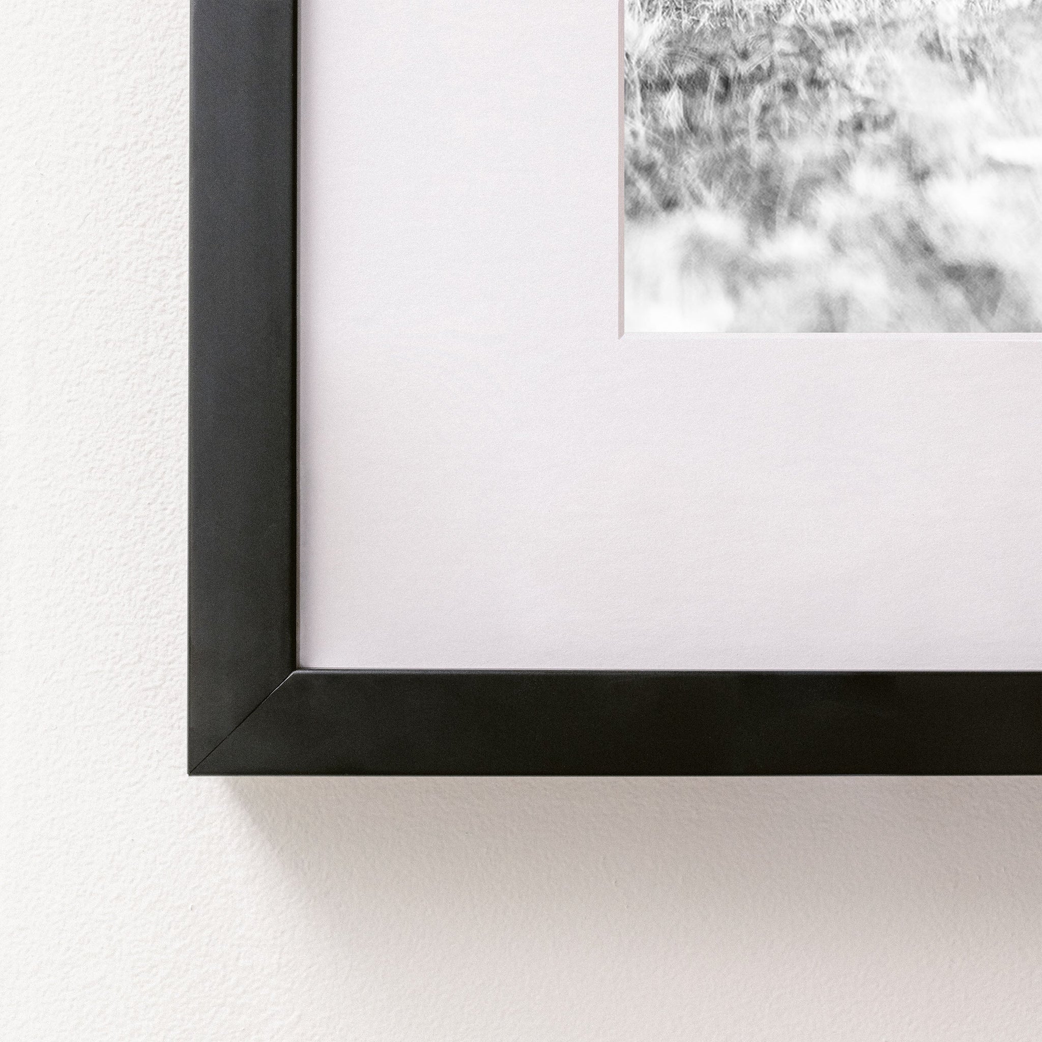 black~Medium