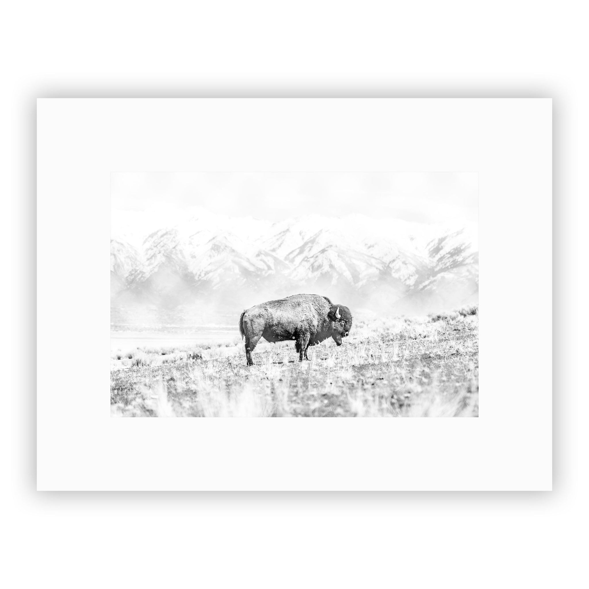 no frame~Medium
