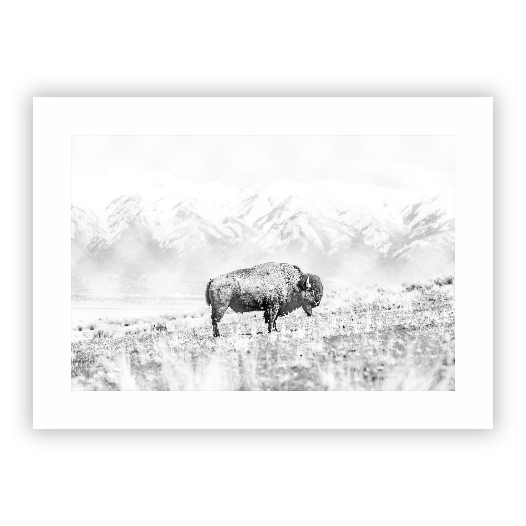 no frame~Extra-Large