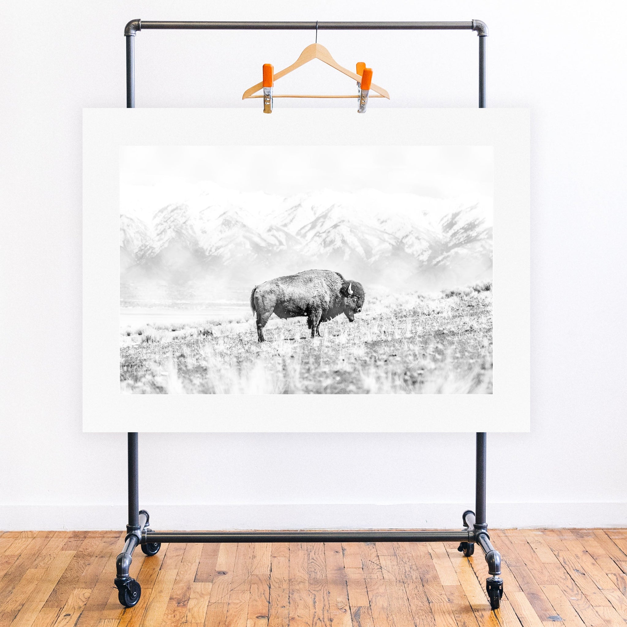 no frame~Executive