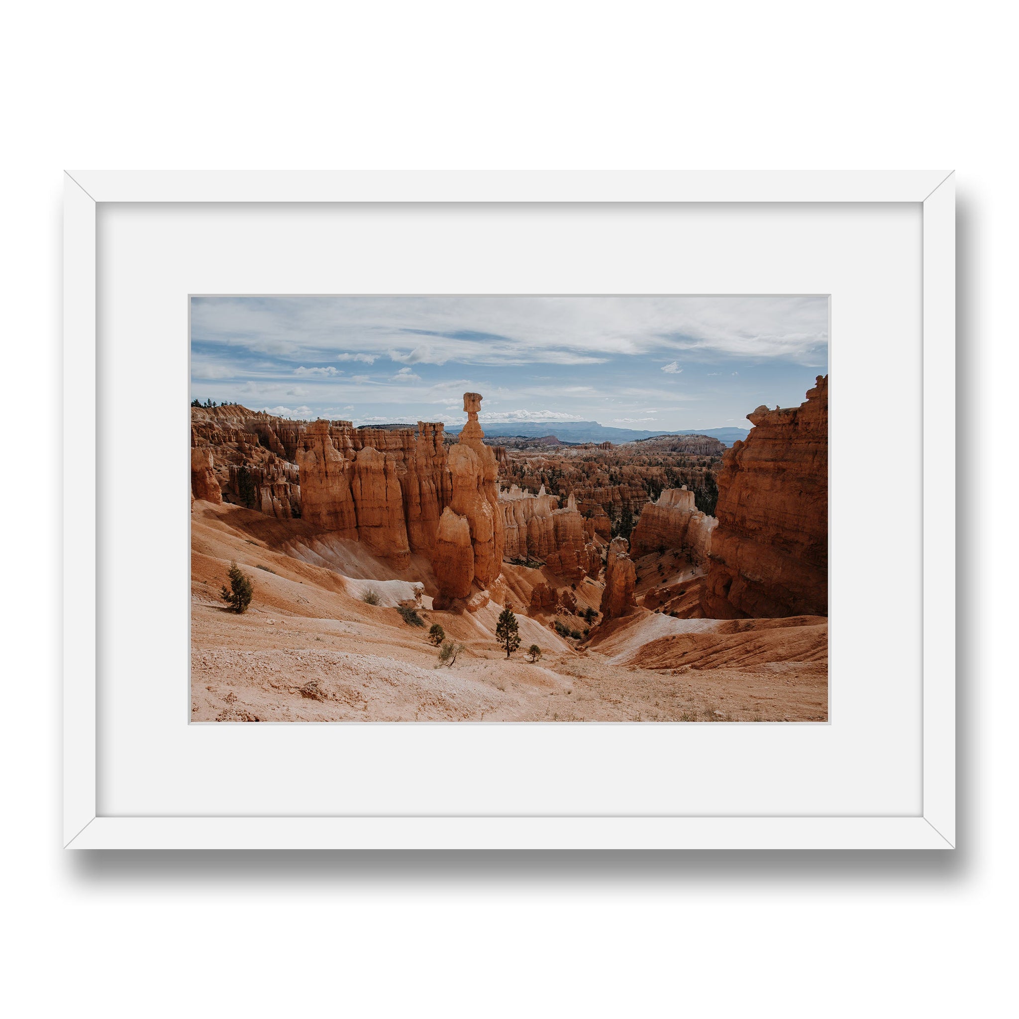 white~Medium