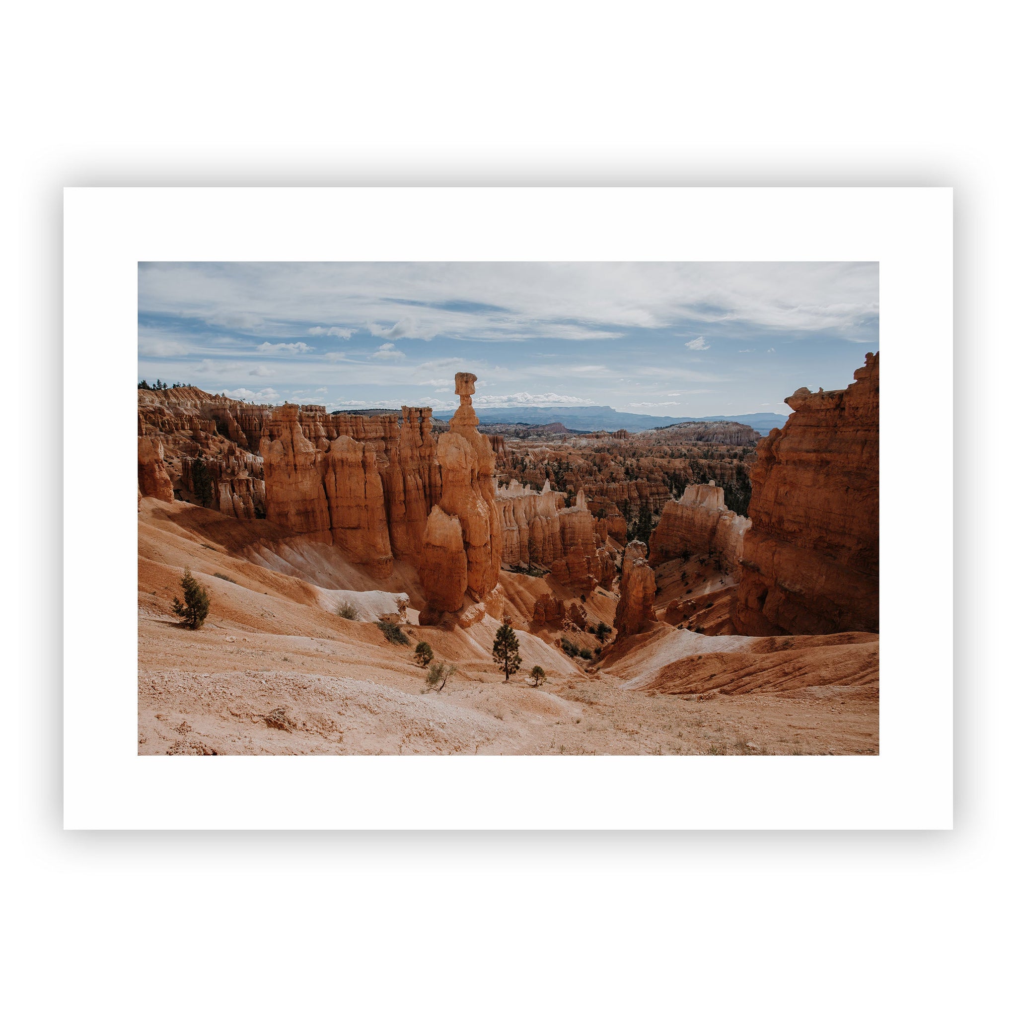 no frame~Extra-Large