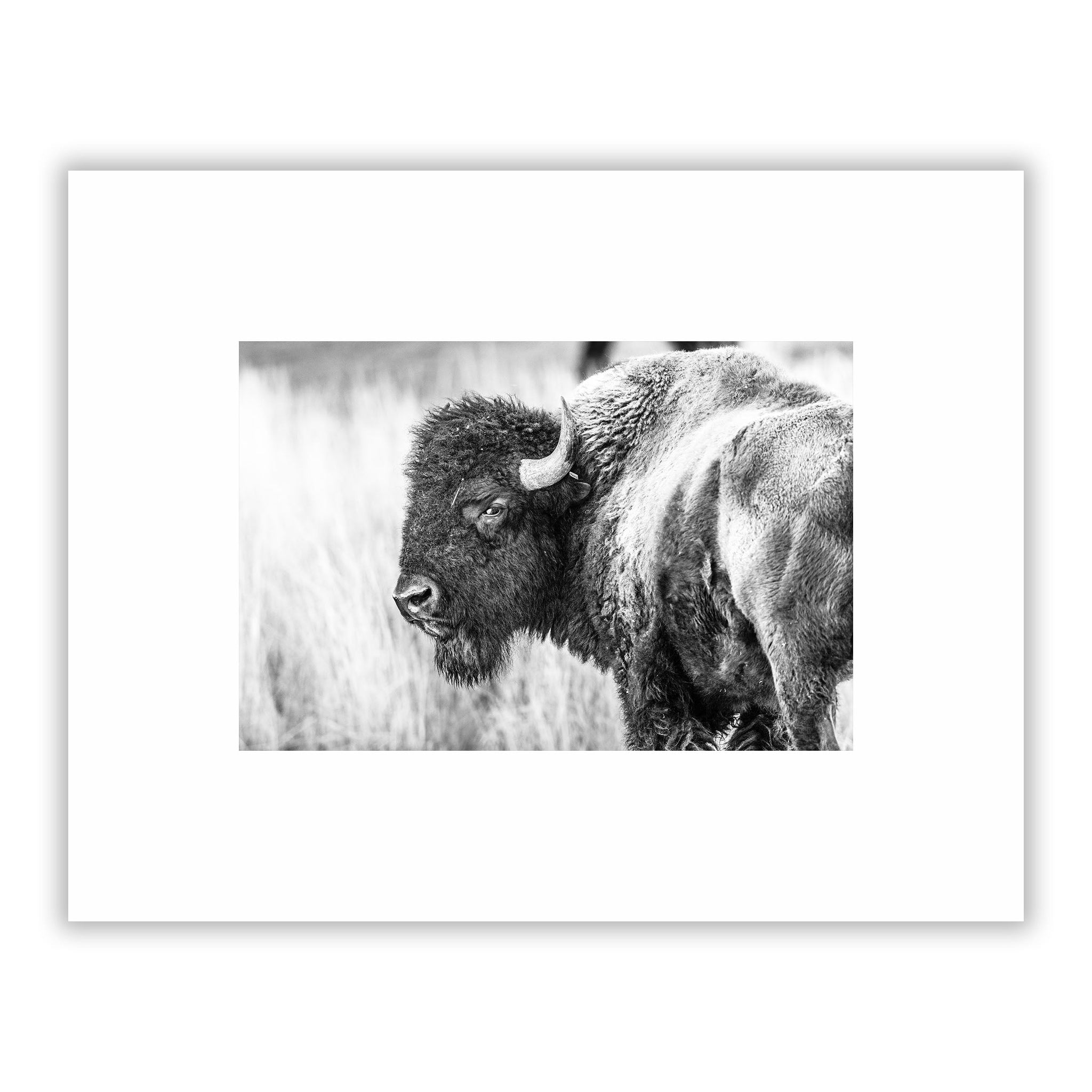 no frame~Small