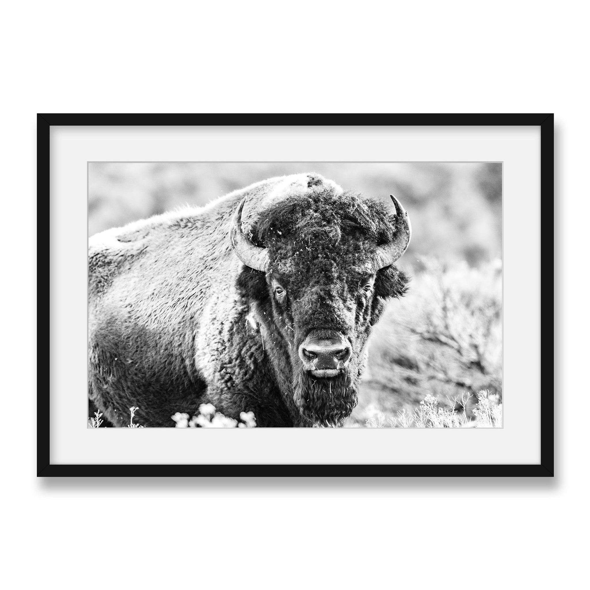 black~Large