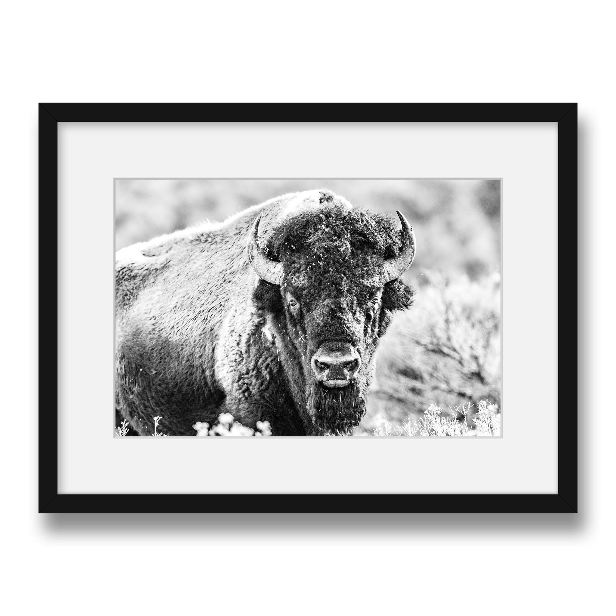 black~Medium