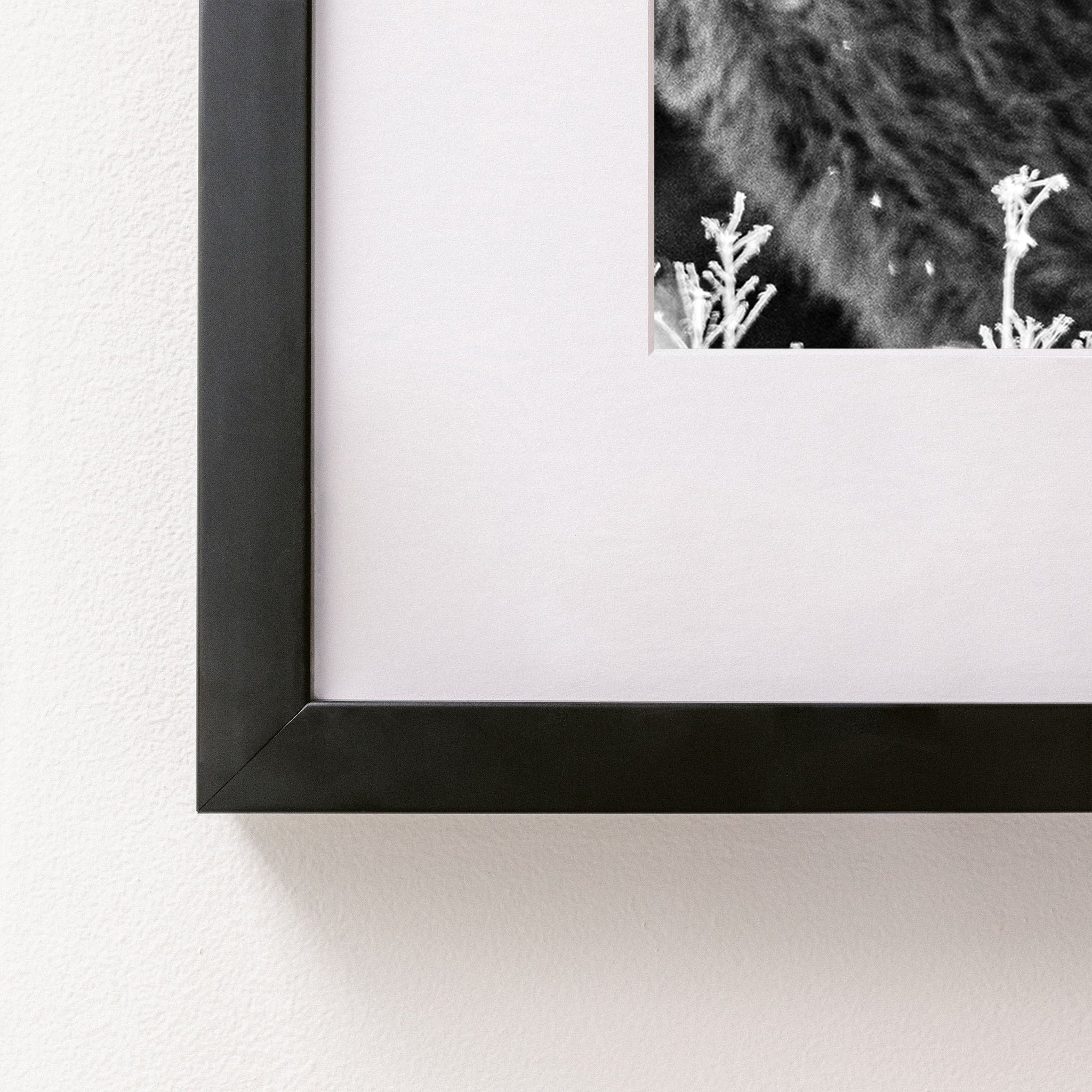 black~Medium