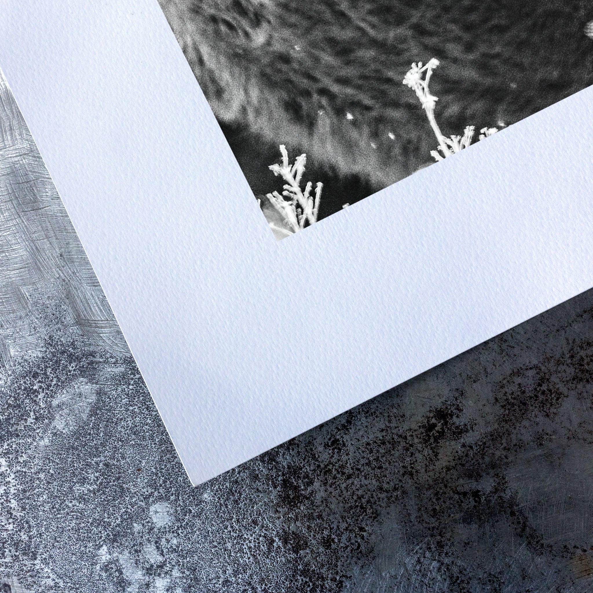 no frame~Medium