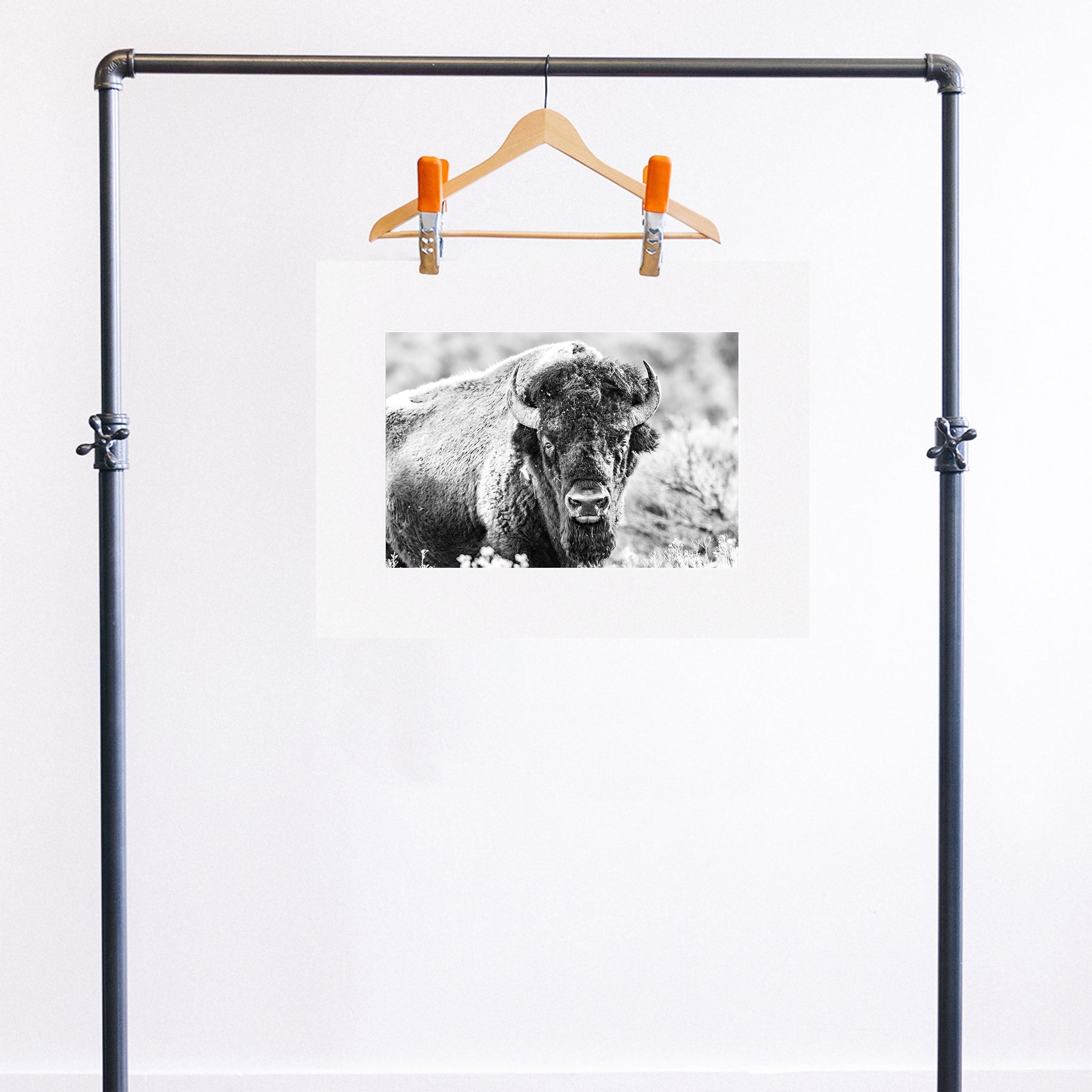 no frame~Medium