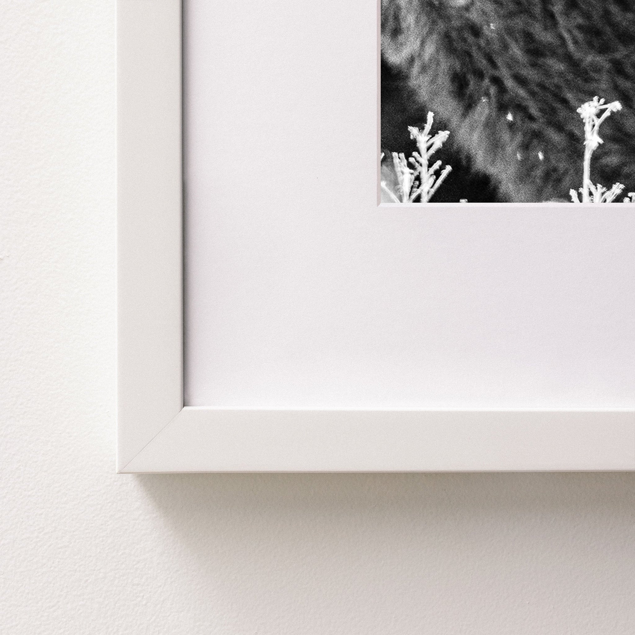 white~Medium