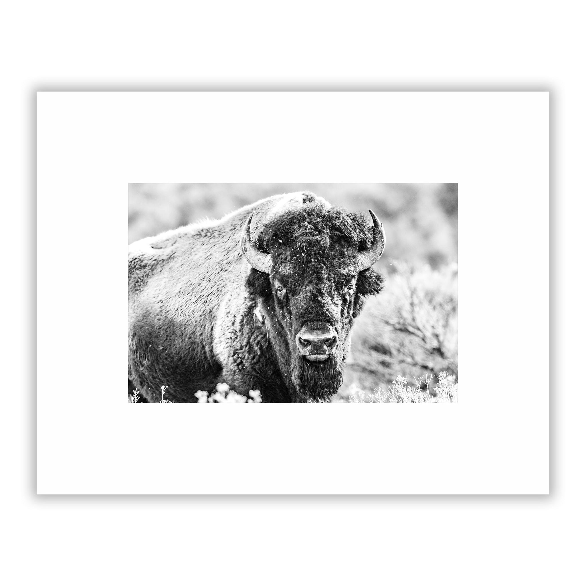 no frame~Small