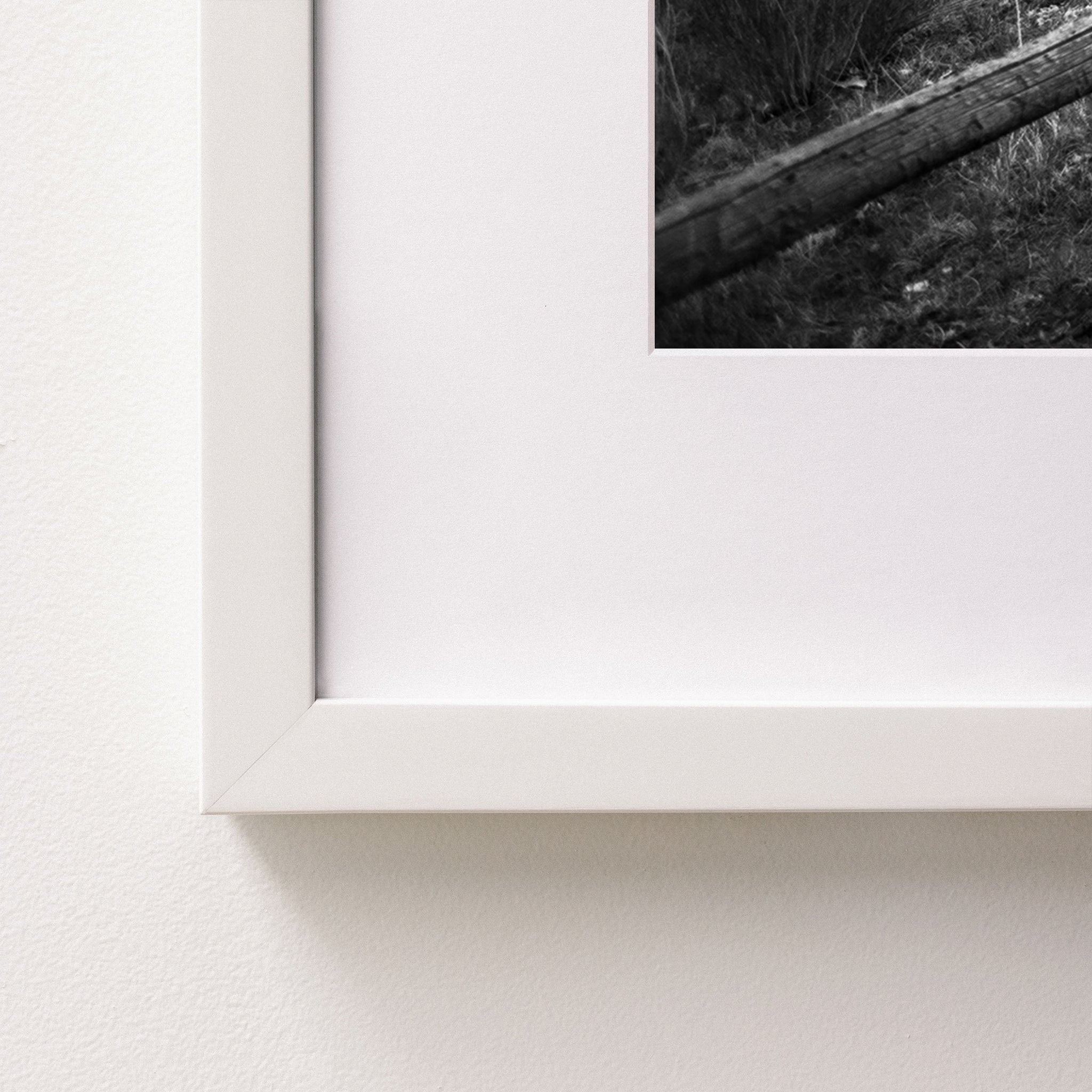 white~Medium