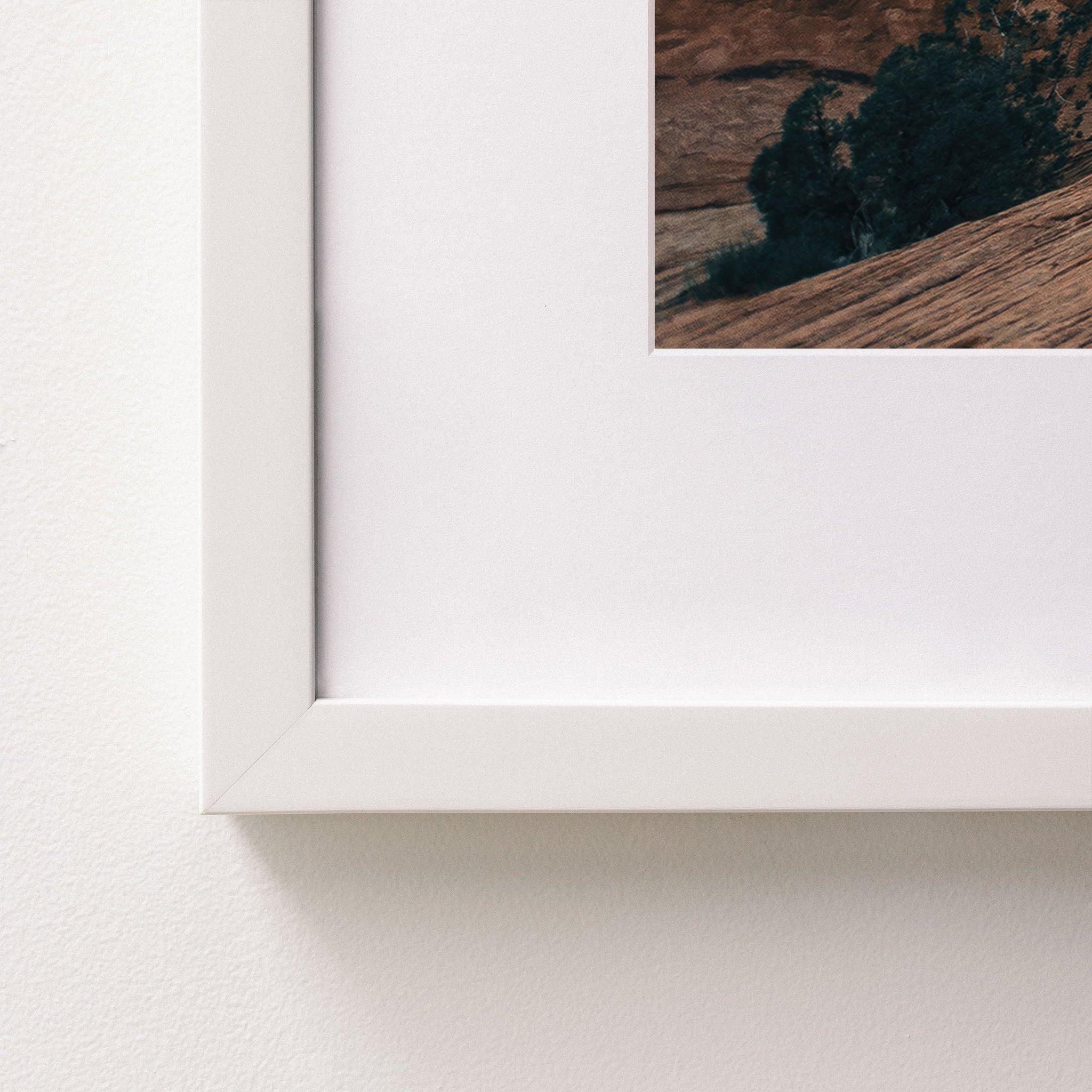 white~Medium