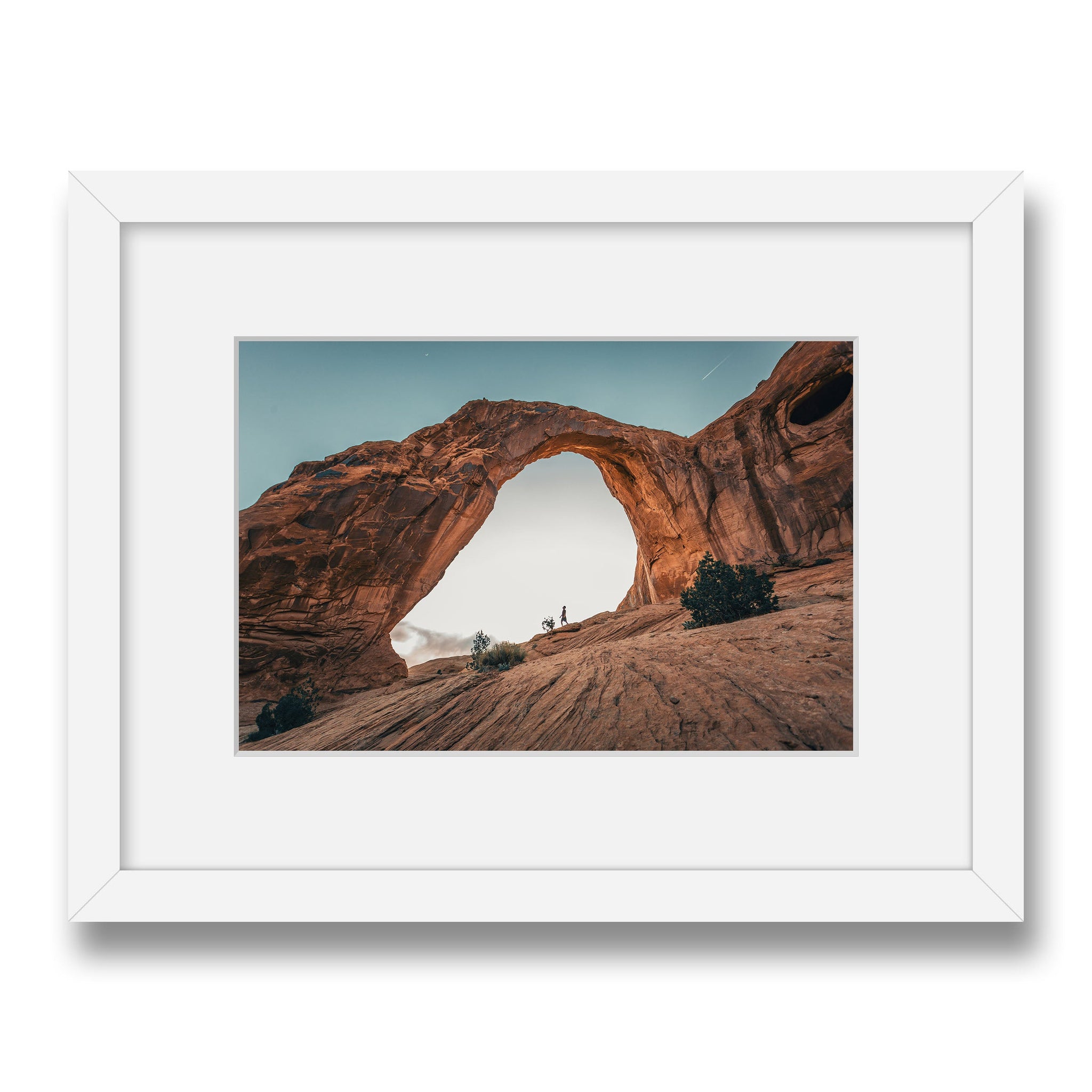 white~Small