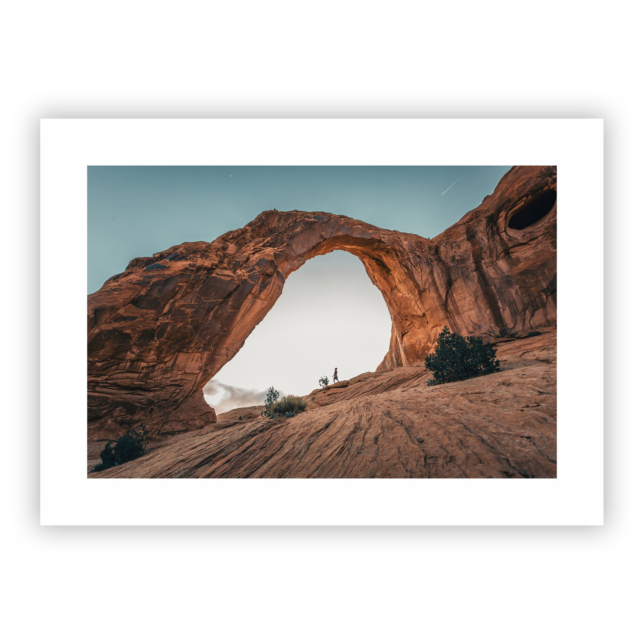 no frame~Extra-Large