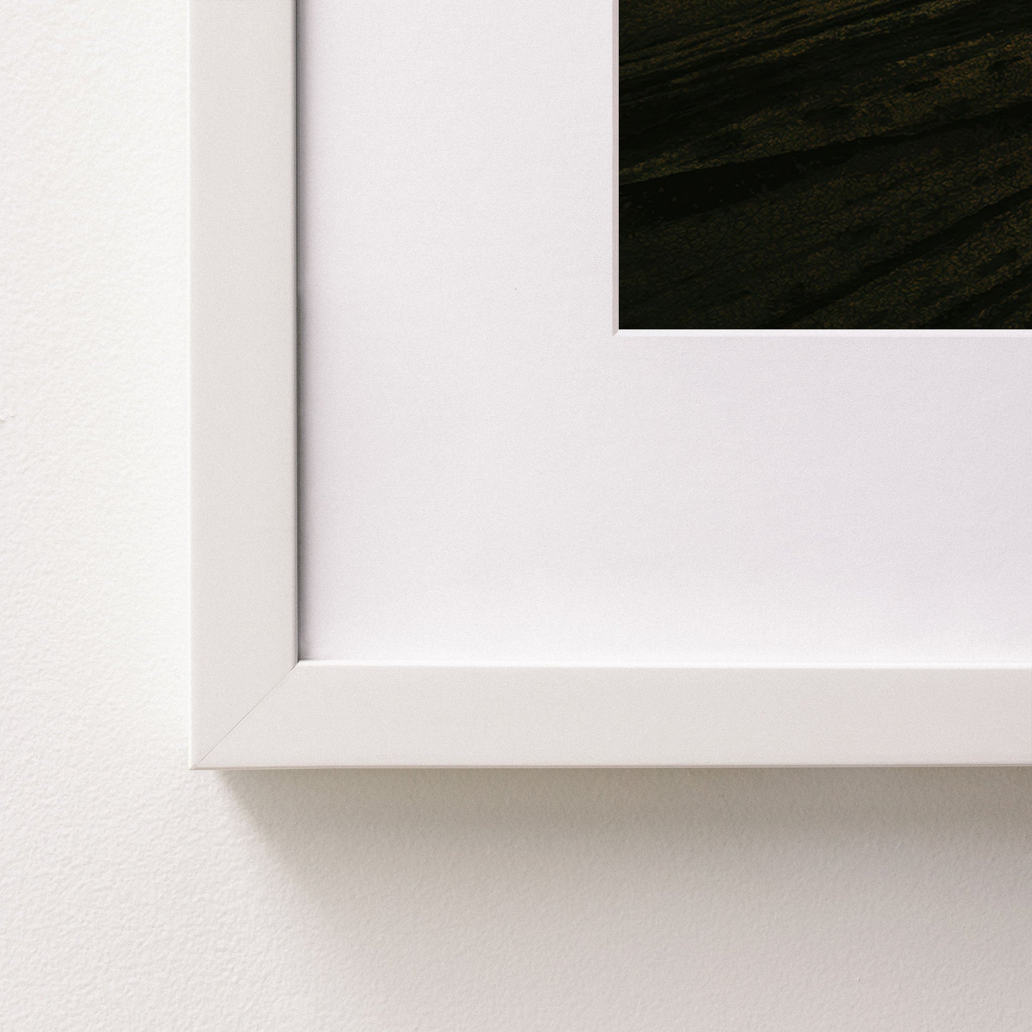 white~Small
