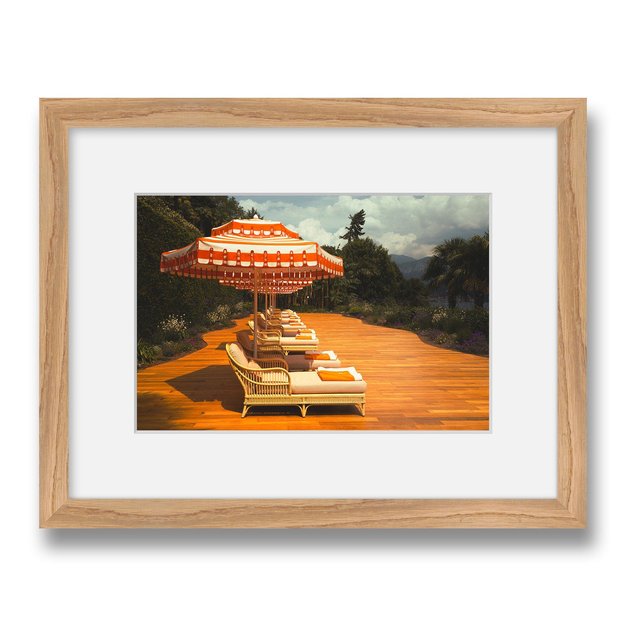 maple~Small