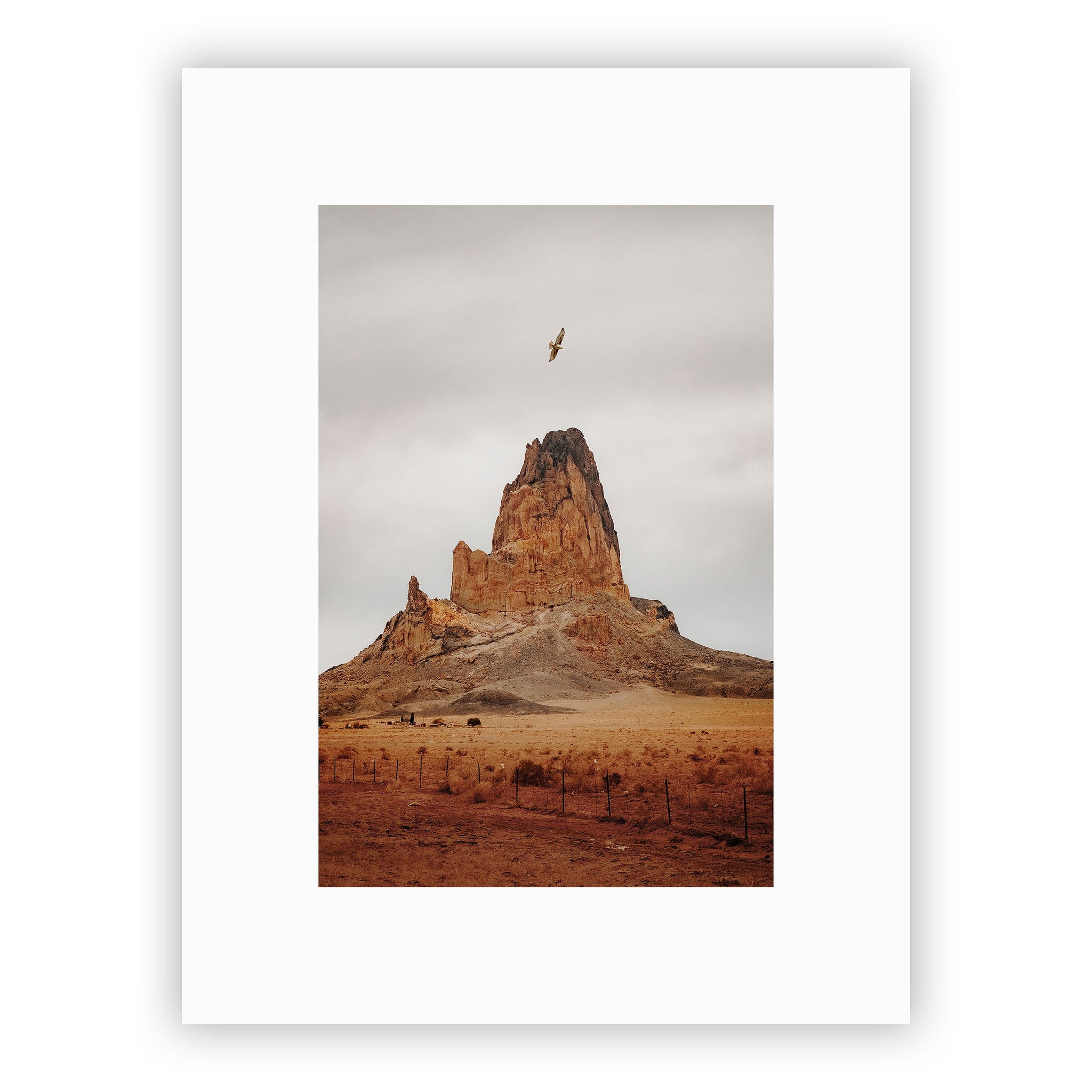 no frame~Medium