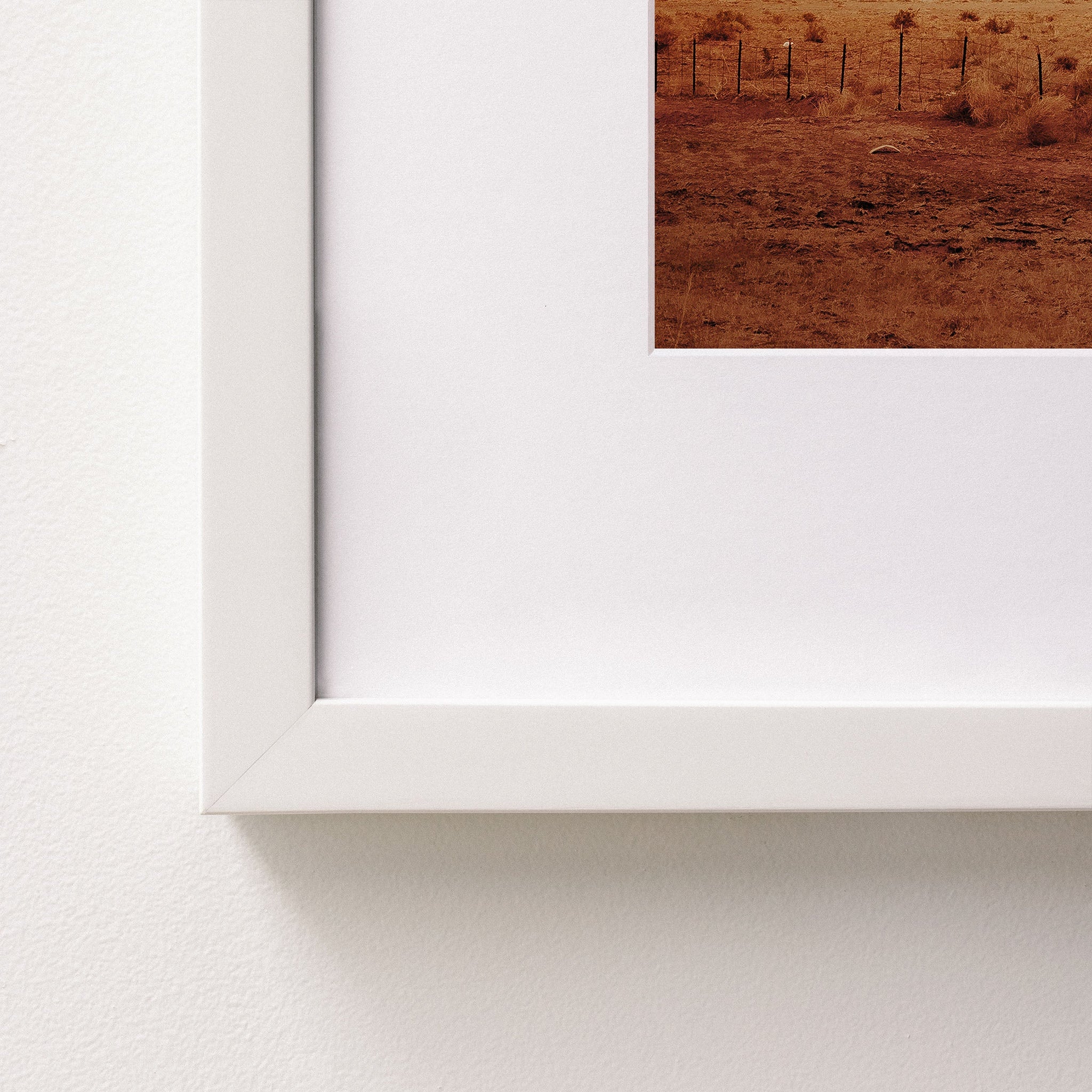 white~Medium