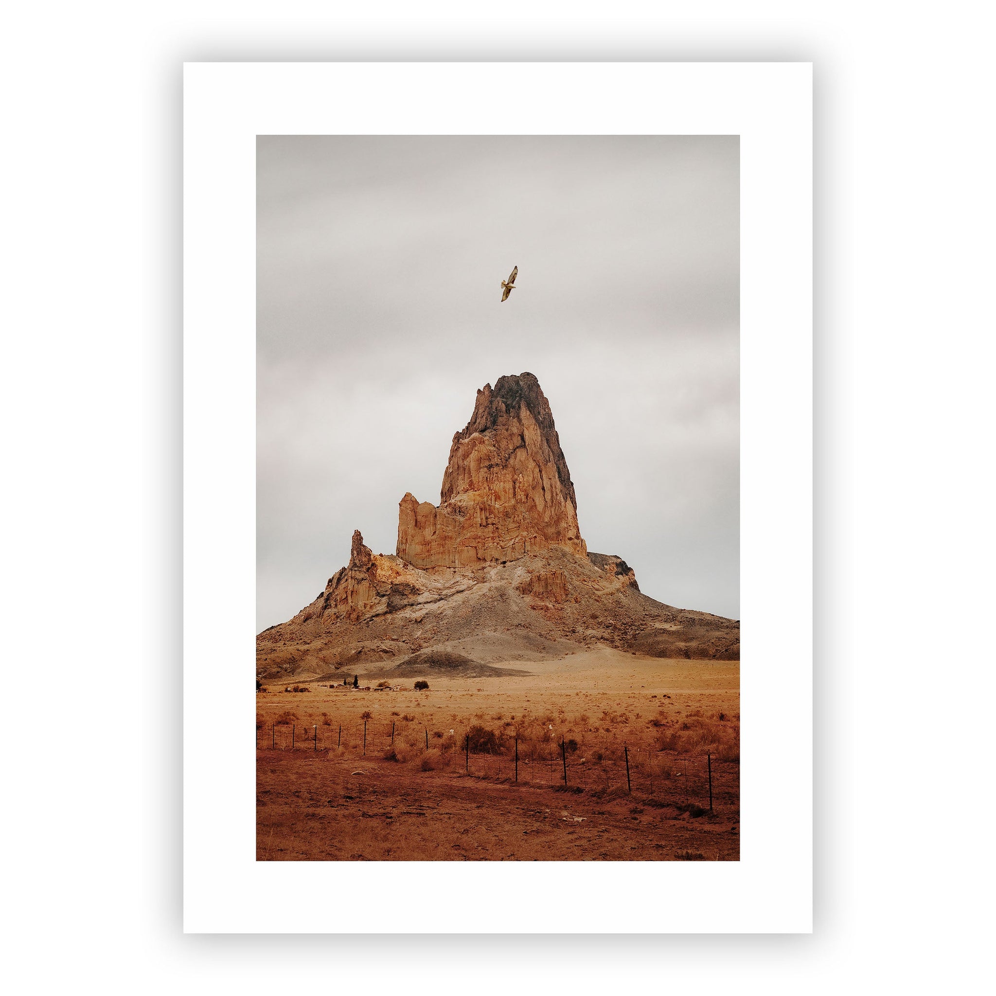 no frame~Extra-Large