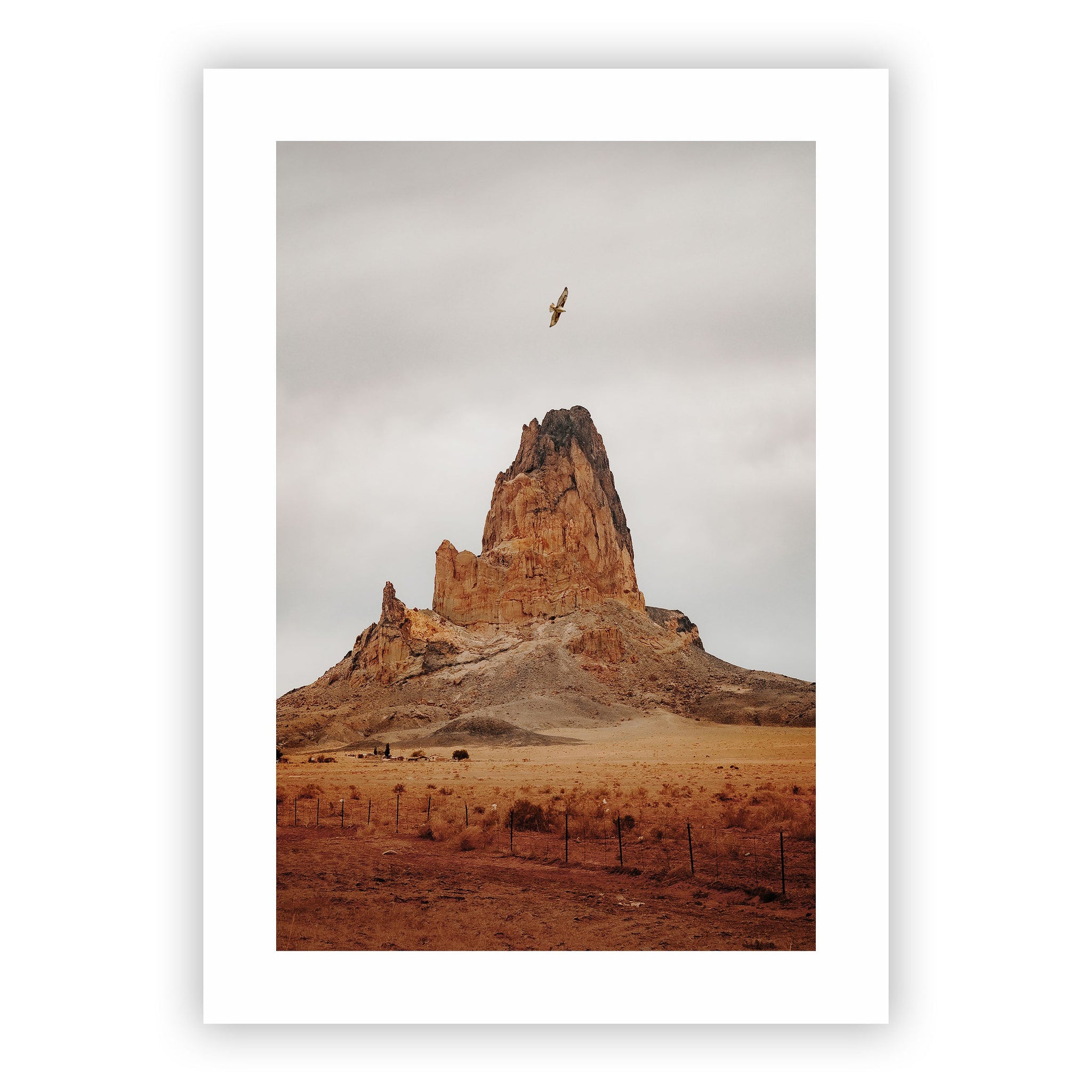 no frame~Giant