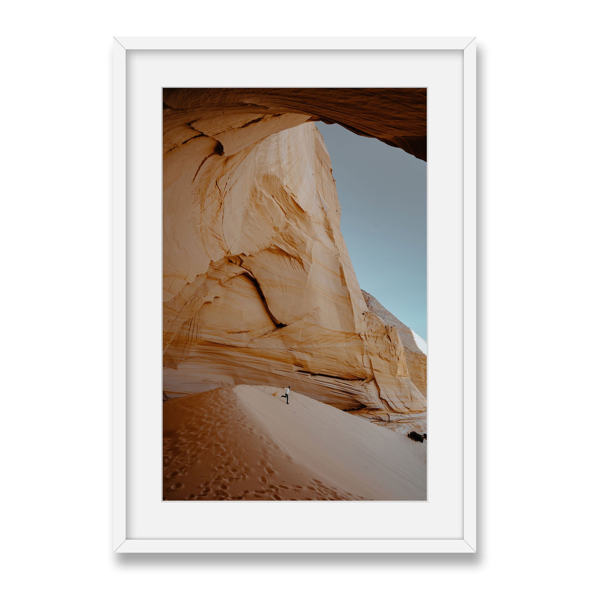 white~Large