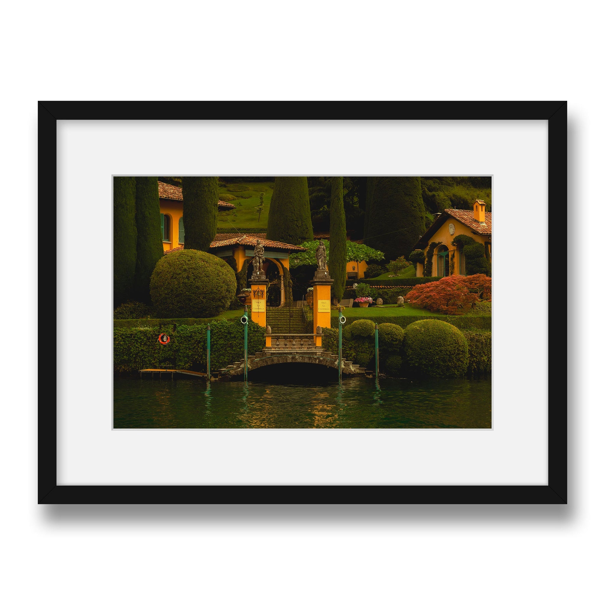 black~Medium