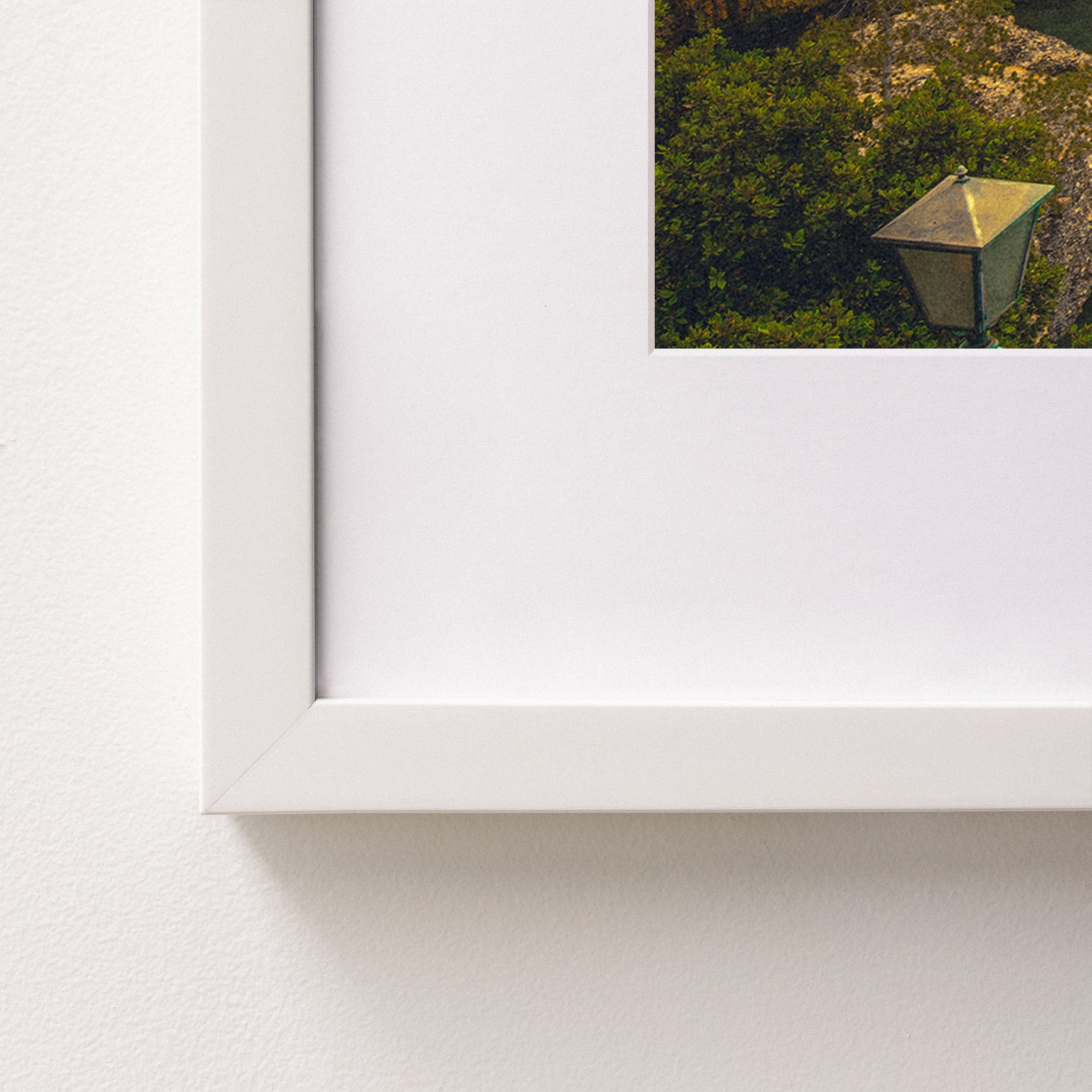 white~Medium