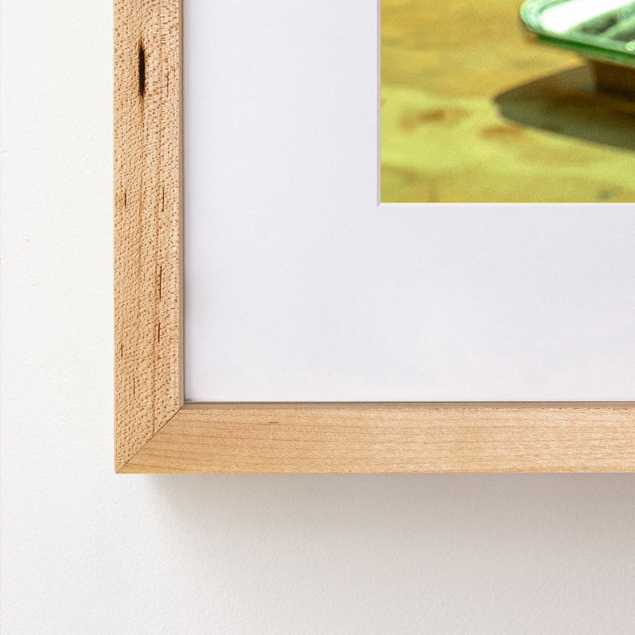 maple~Medium