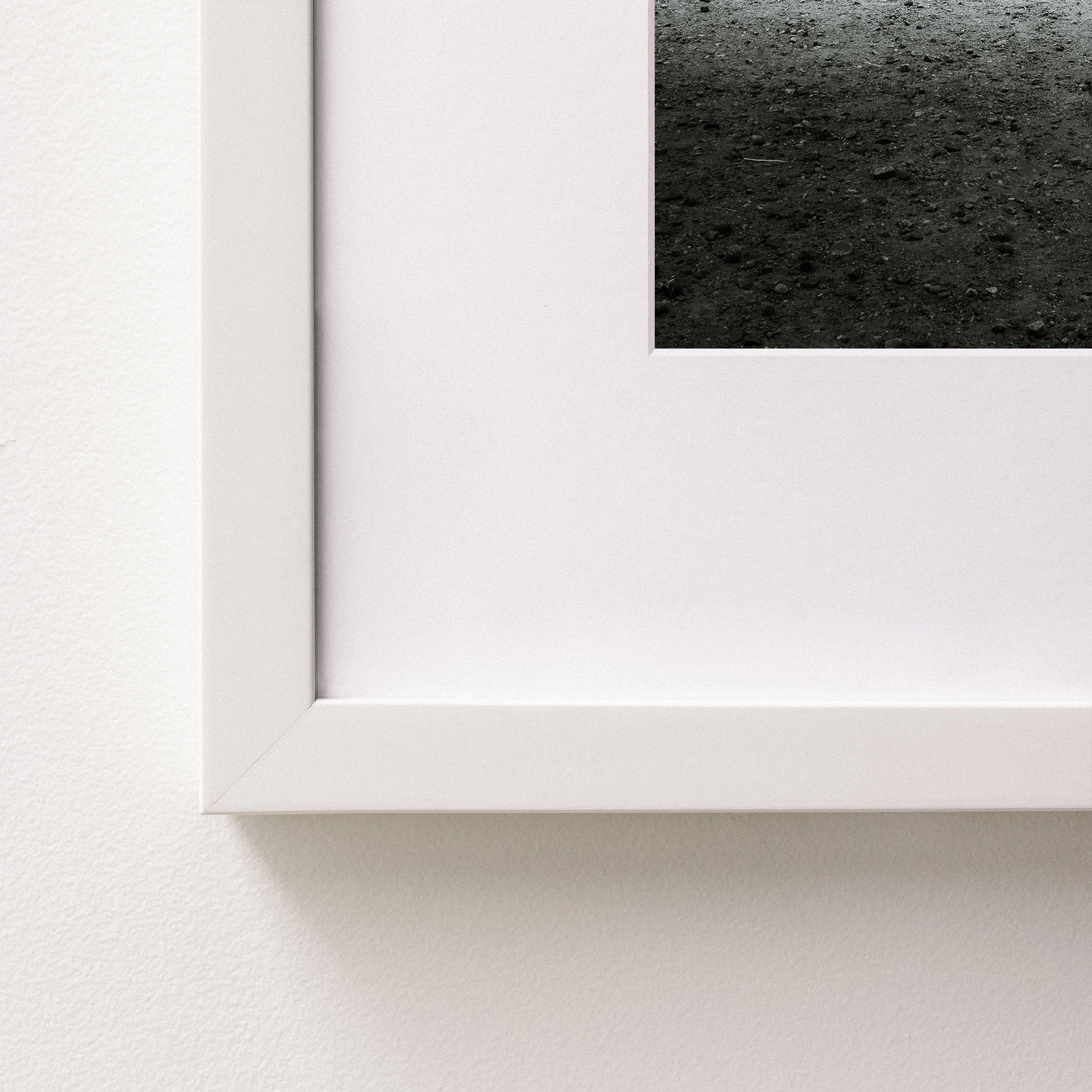 white~Medium