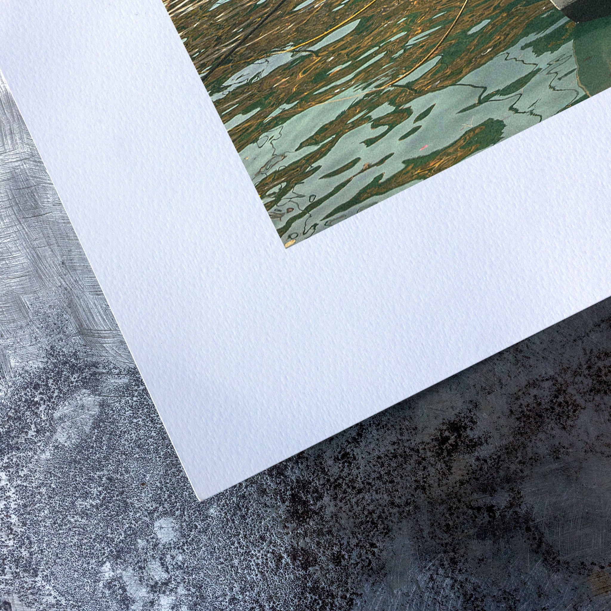 no frame~Medium