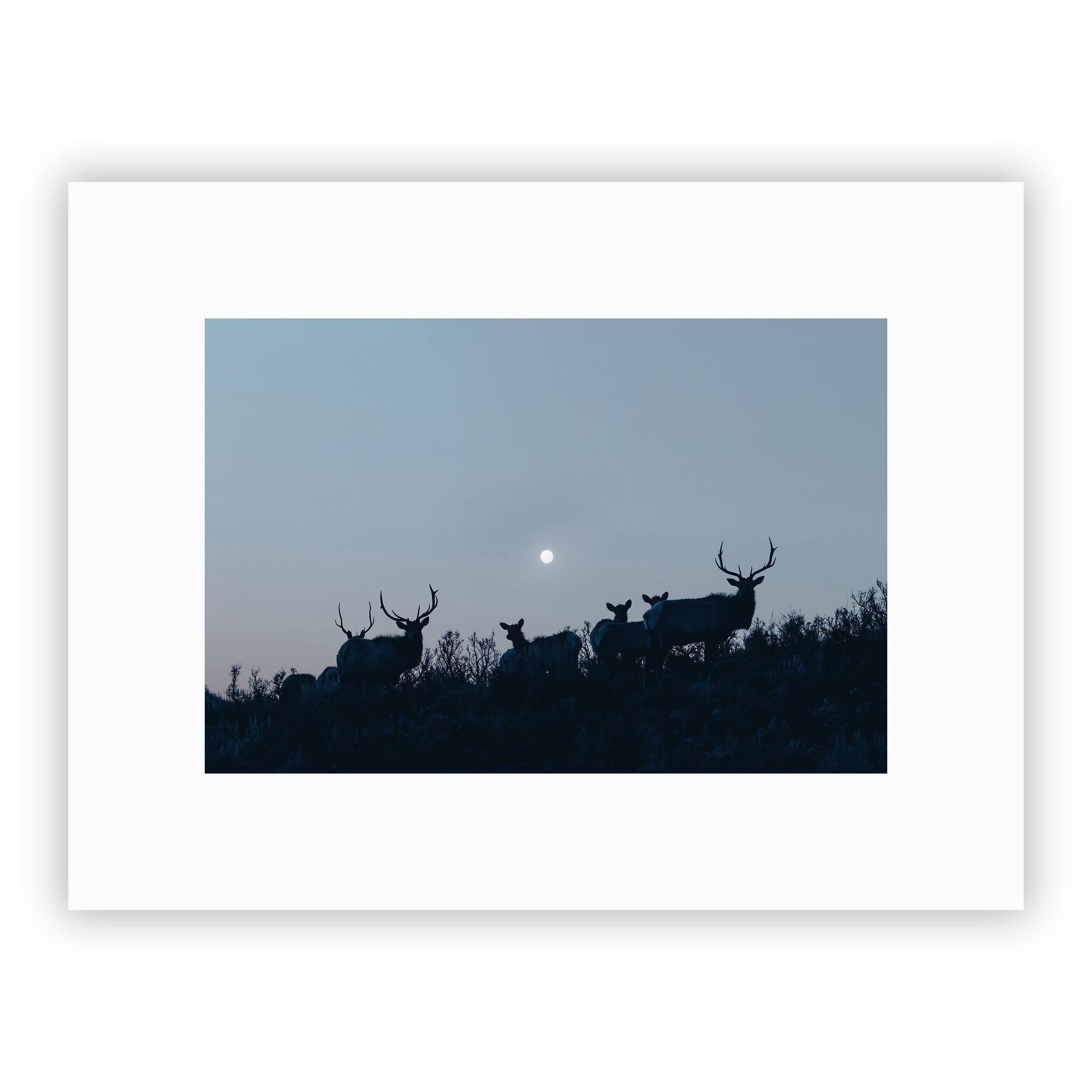 no frame~Medium
