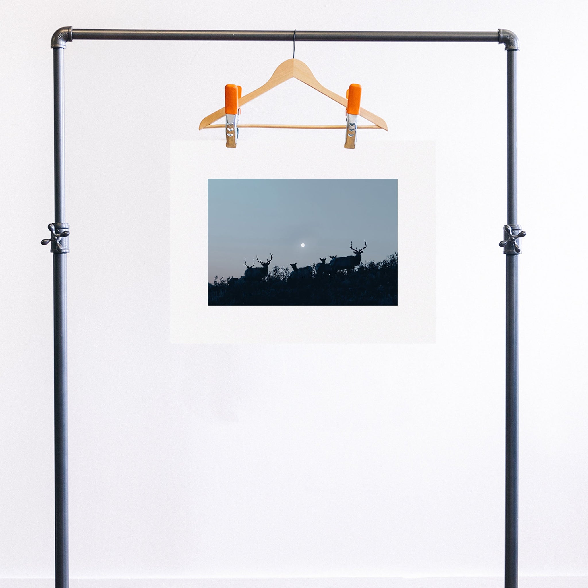 no frame~Medium