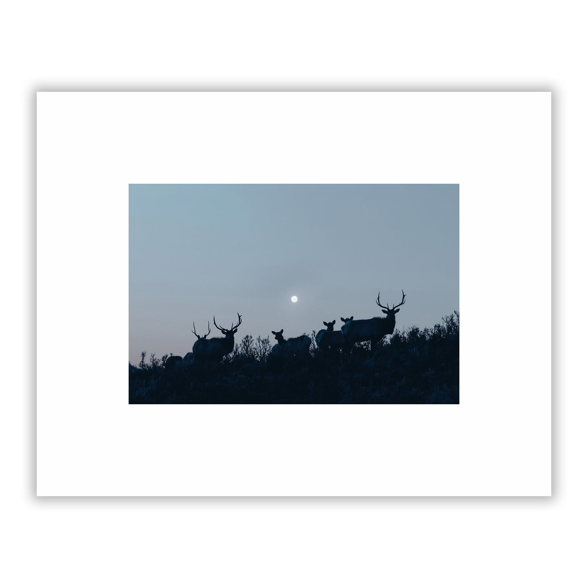 no frame~Small