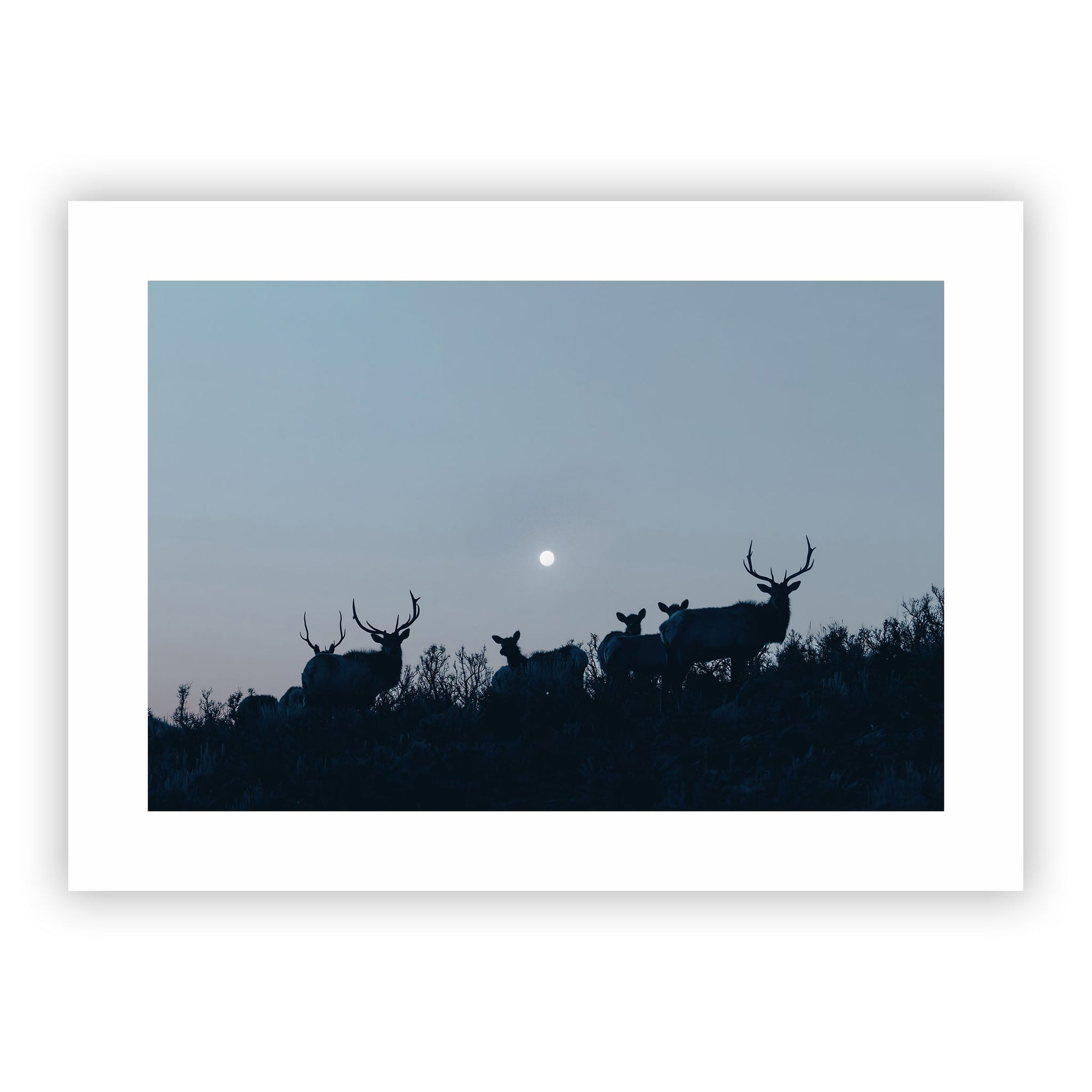 no frame~Extra-Large