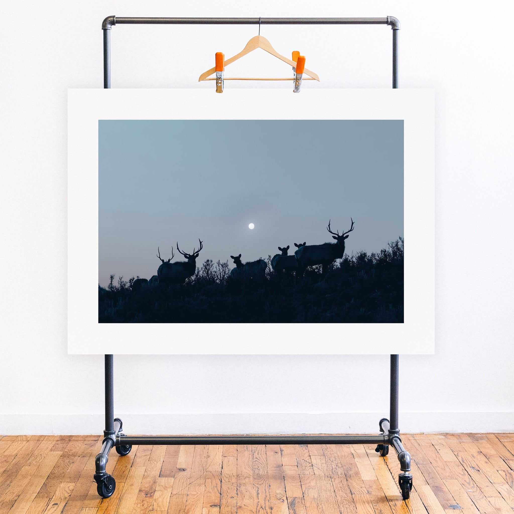 no frame~Executive