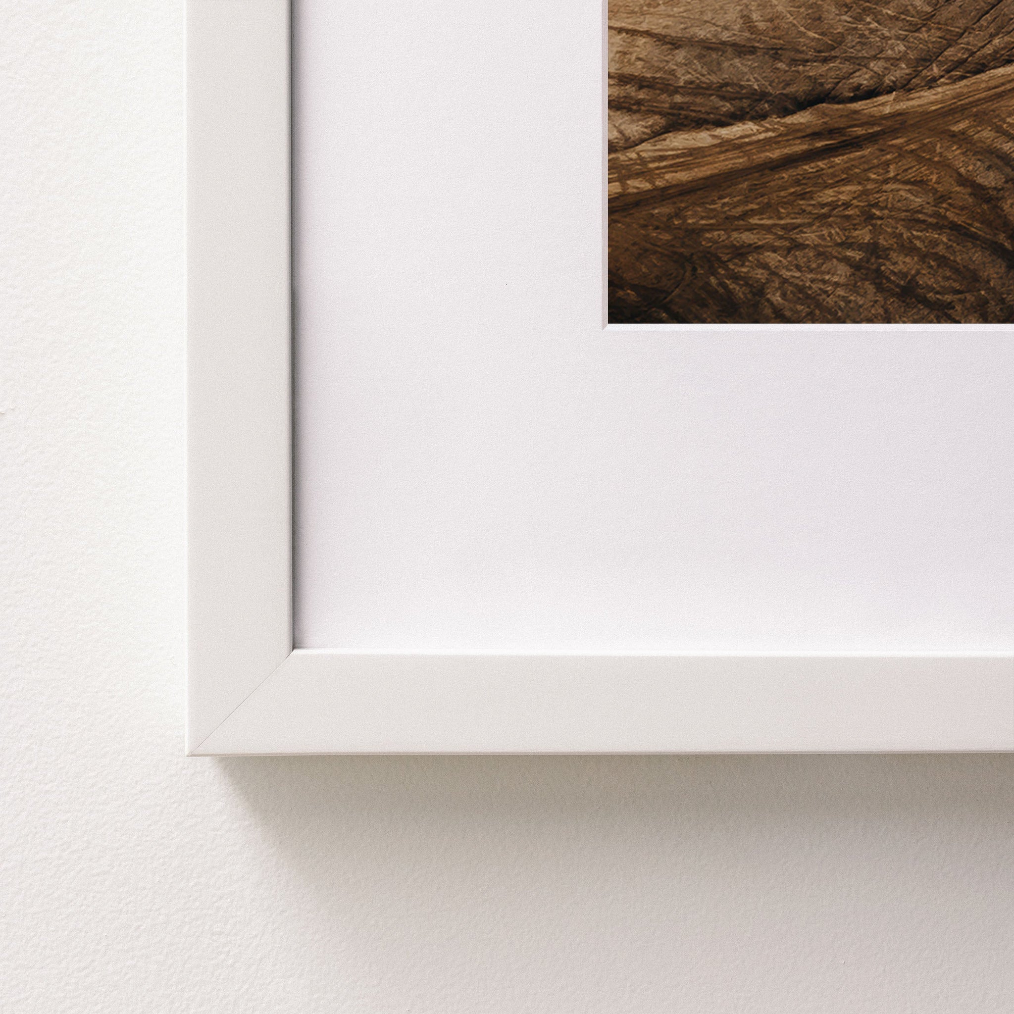 white~Medium