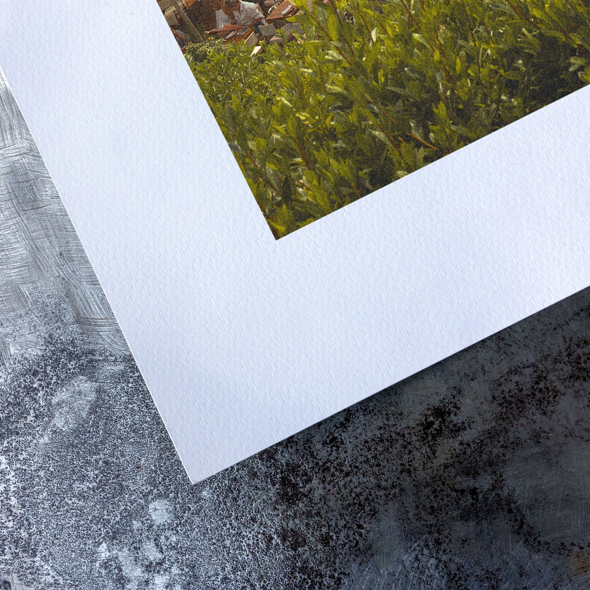 no frame~Medium