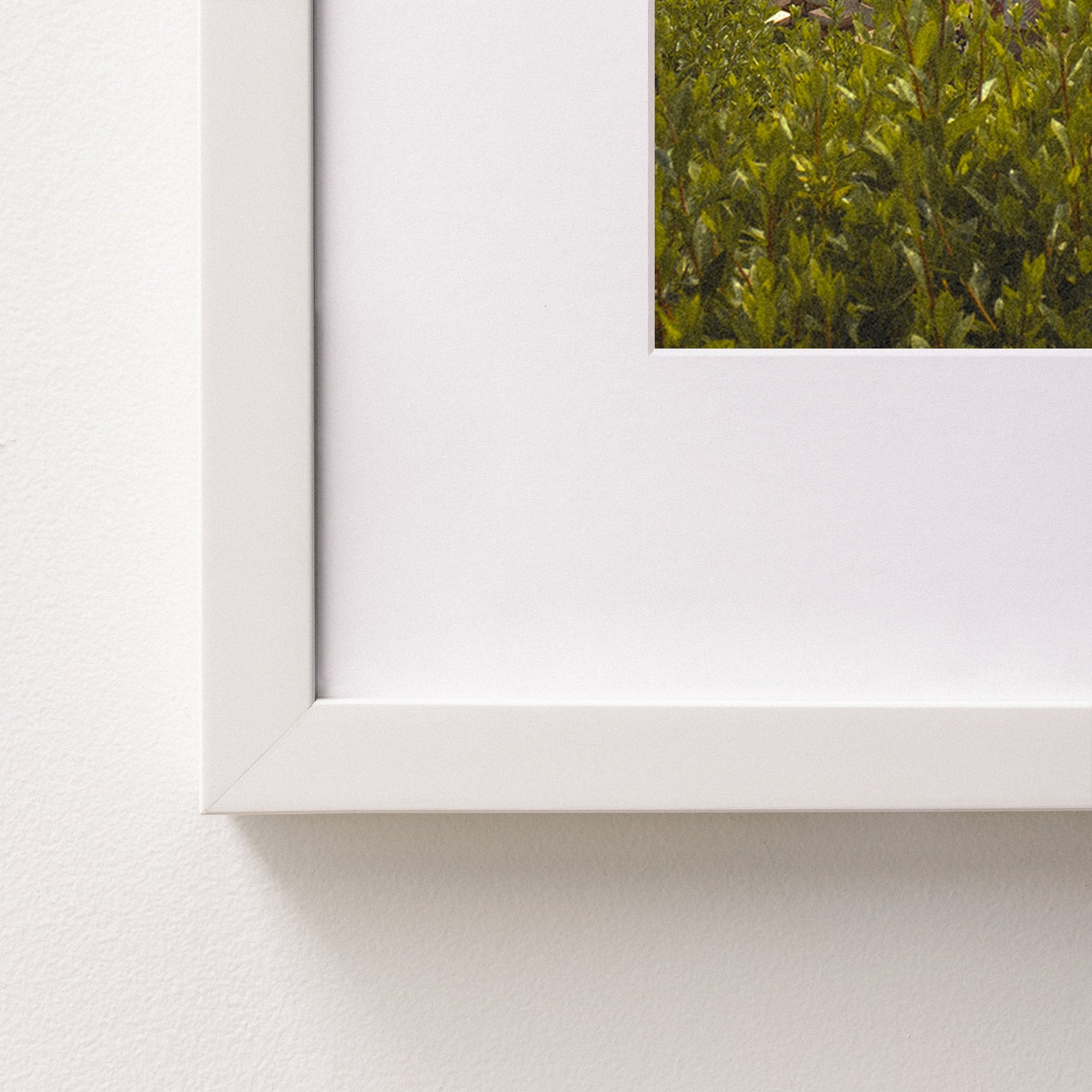 white~Medium