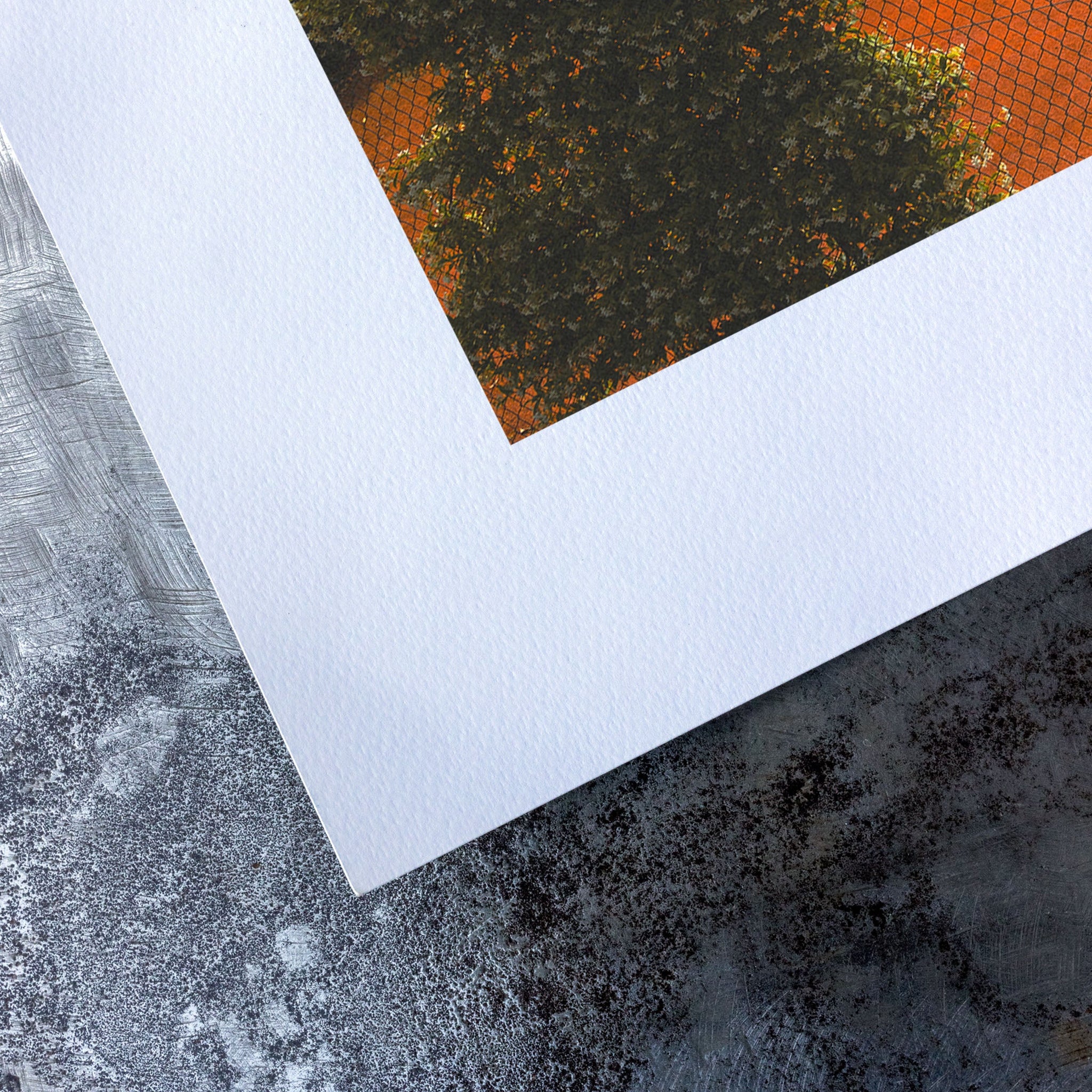 no frame~Medium