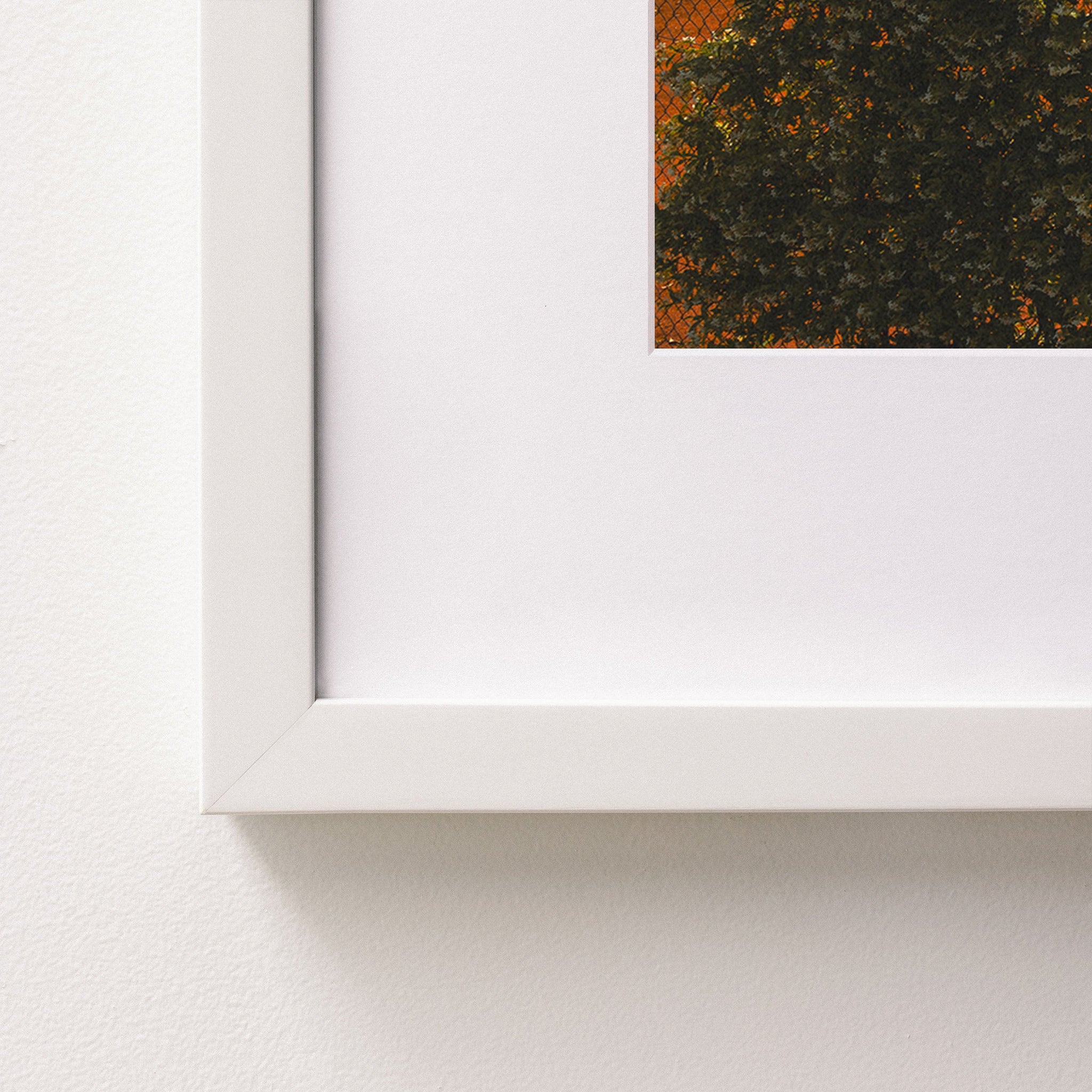 white~Medium