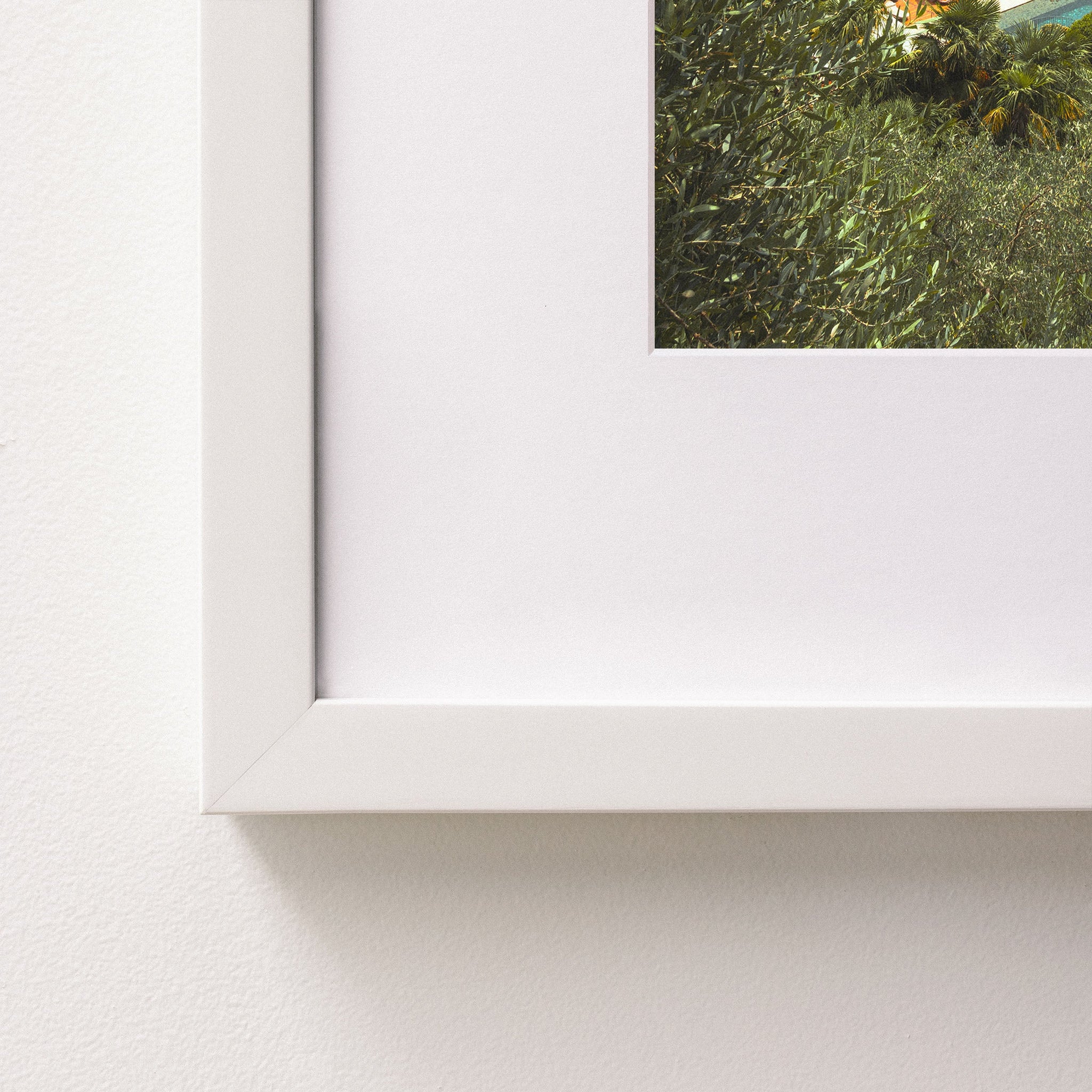 white~Medium