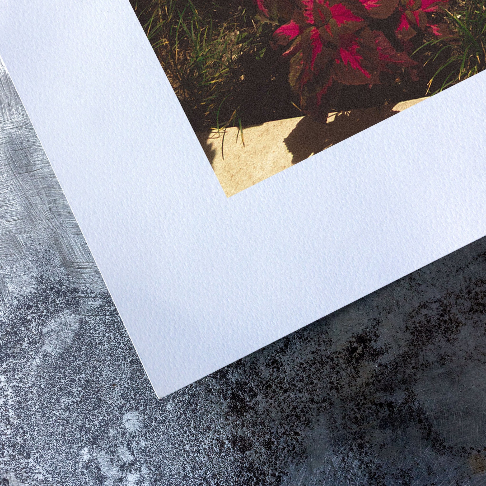 no frame~Medium