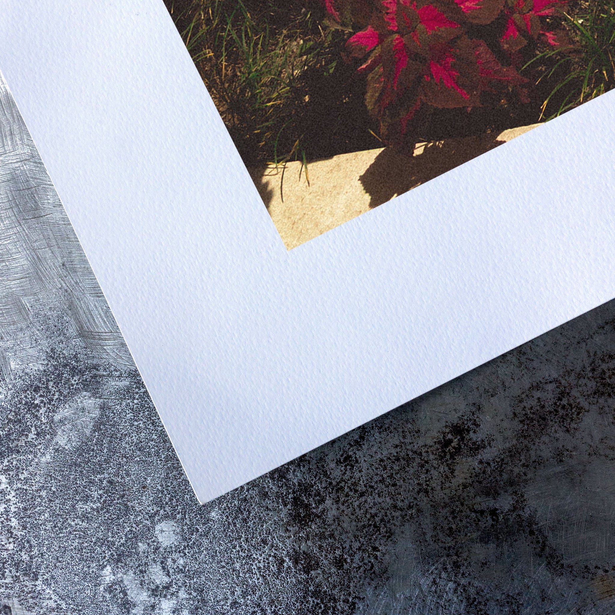 no frame~Extra-Large